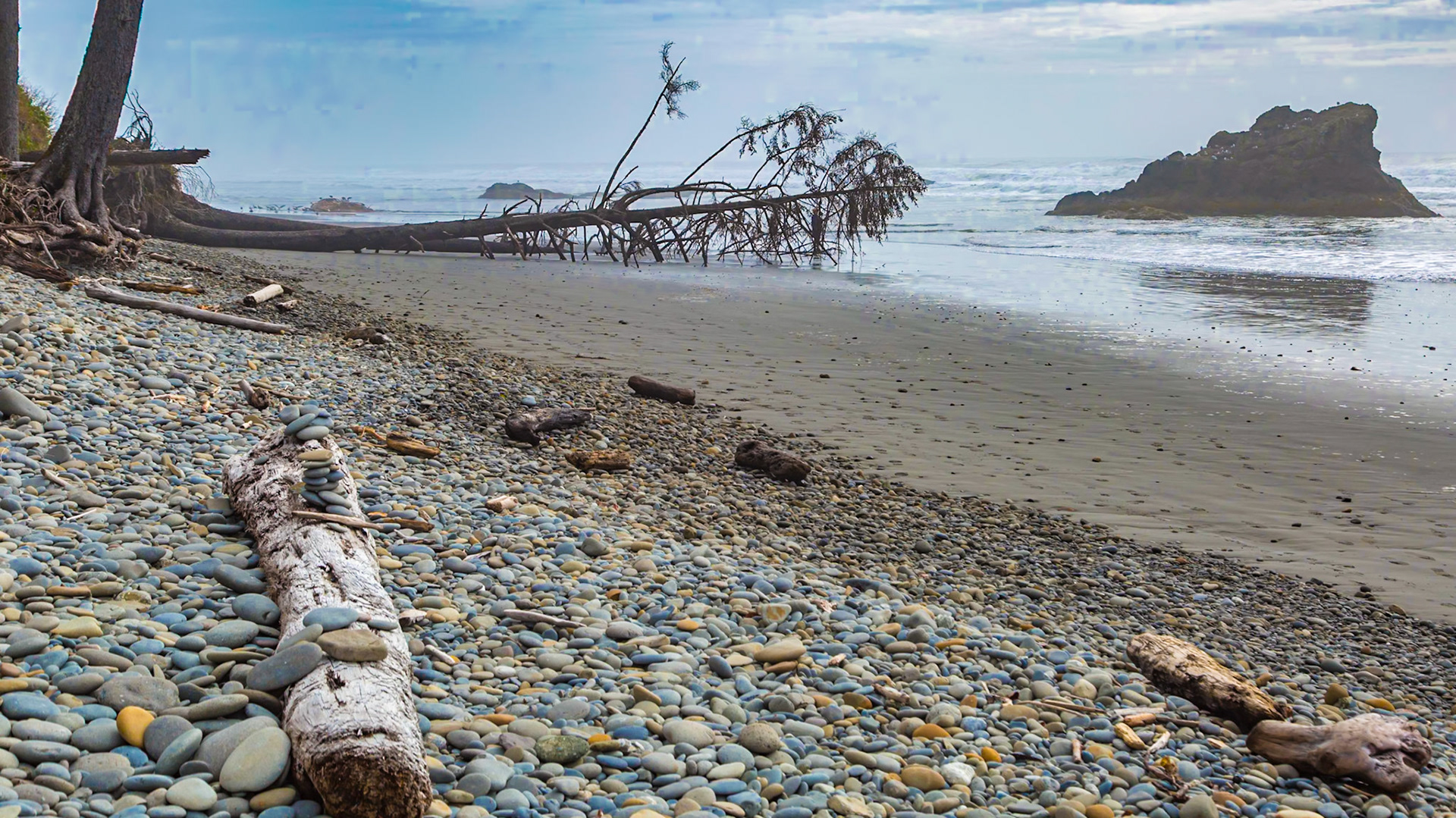 180910_107 Large rock seastacks at Ruby Beach in the Olympic National Park near Forks, Washington