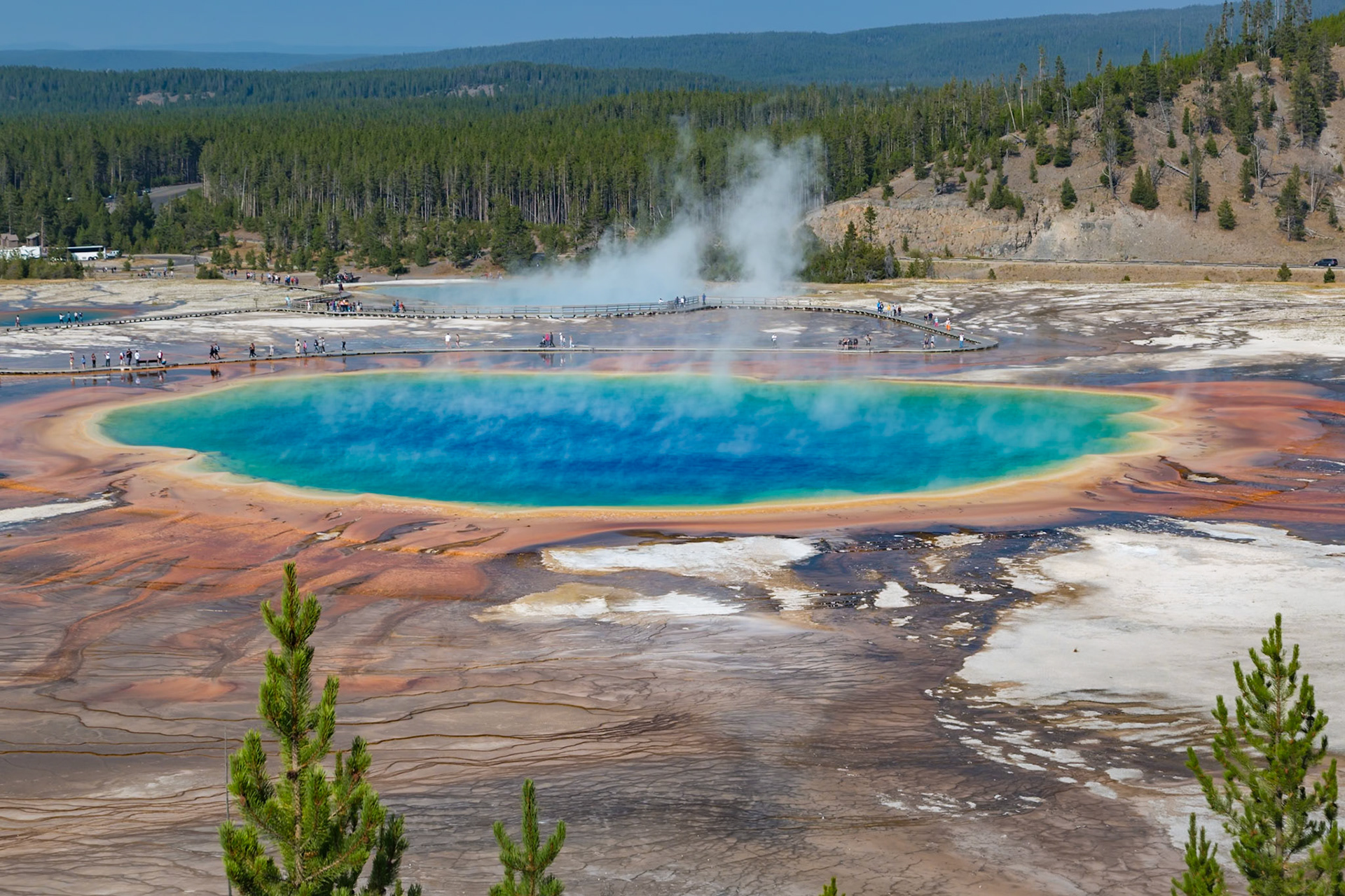 180823_030 Grand Prismatic Spring in the Midway Geyser Basin of Yellowstone National Park, Wyoming