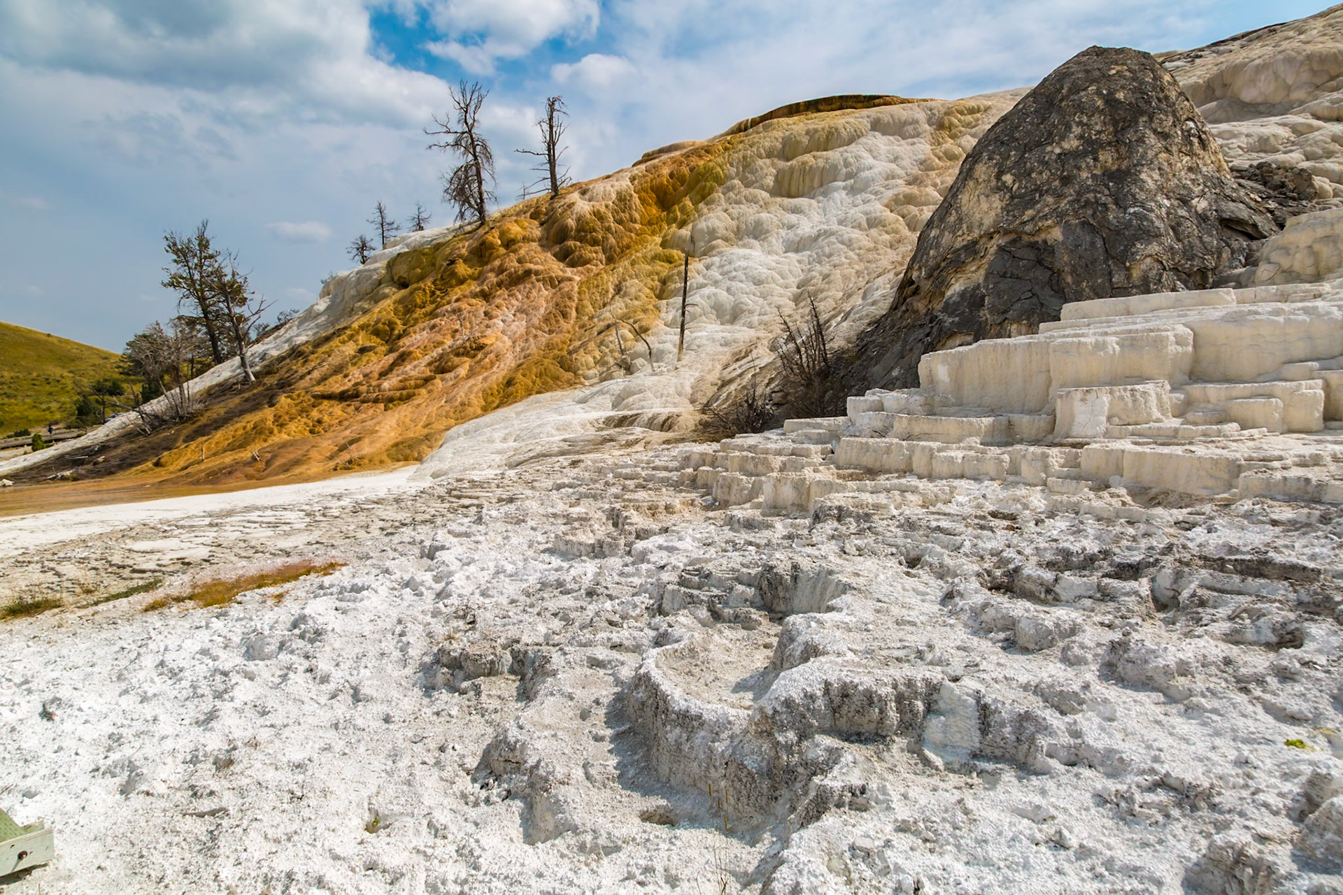 180822_110 Dead trees on a hill of calcium carbonate expelled from Palette Spring over time in the Mammoth Hot Springs area of Yellowstone National Park, Wyoming