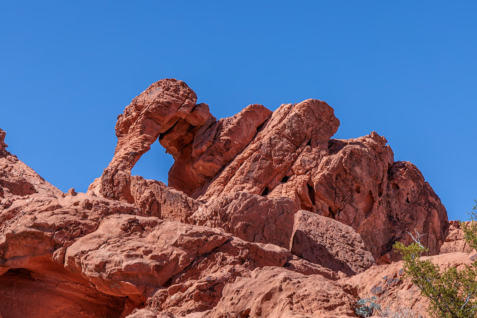 230330_348 Elephant Rock natural sandstone arch at Valley of Fire State Park near Overton, Nevada