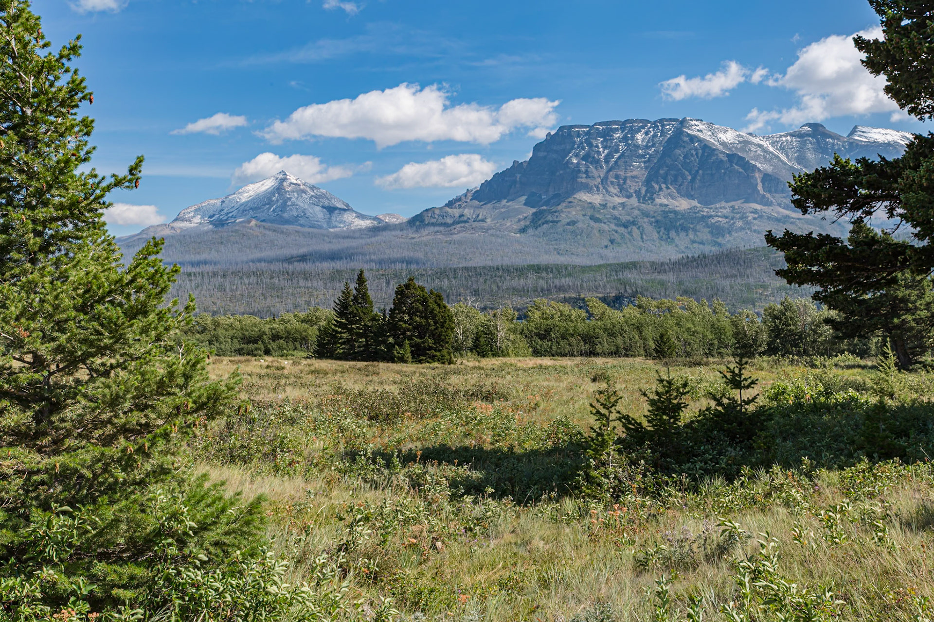 180828_163 Snow on a mountaintop along the Going to the Sun Road in Glacier National Park, Montana