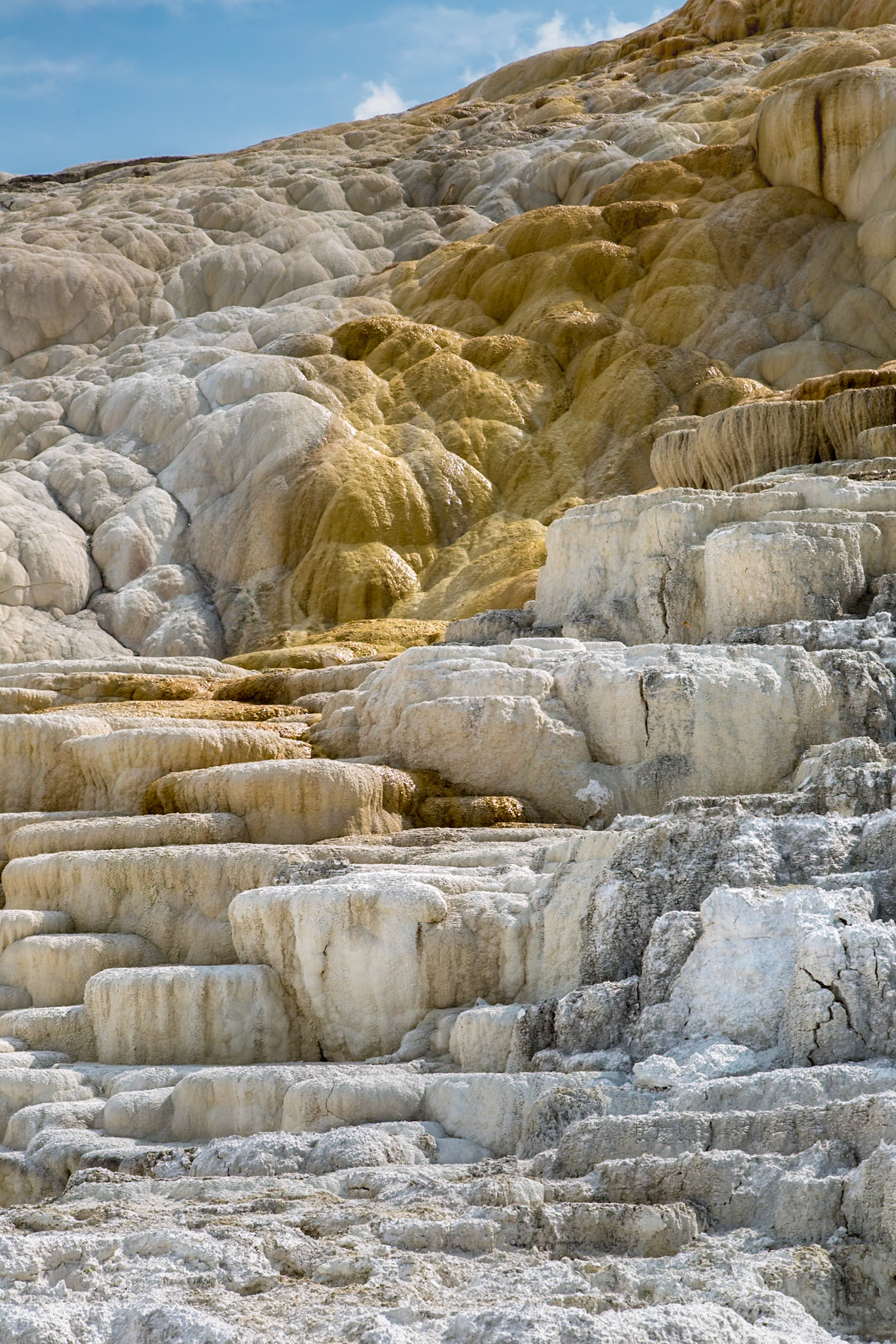 180822_122 Terraced travertine expelled from Palette Spring over time in the Mammoth Hot Springs area of Yellowstone National Park, Wyoming