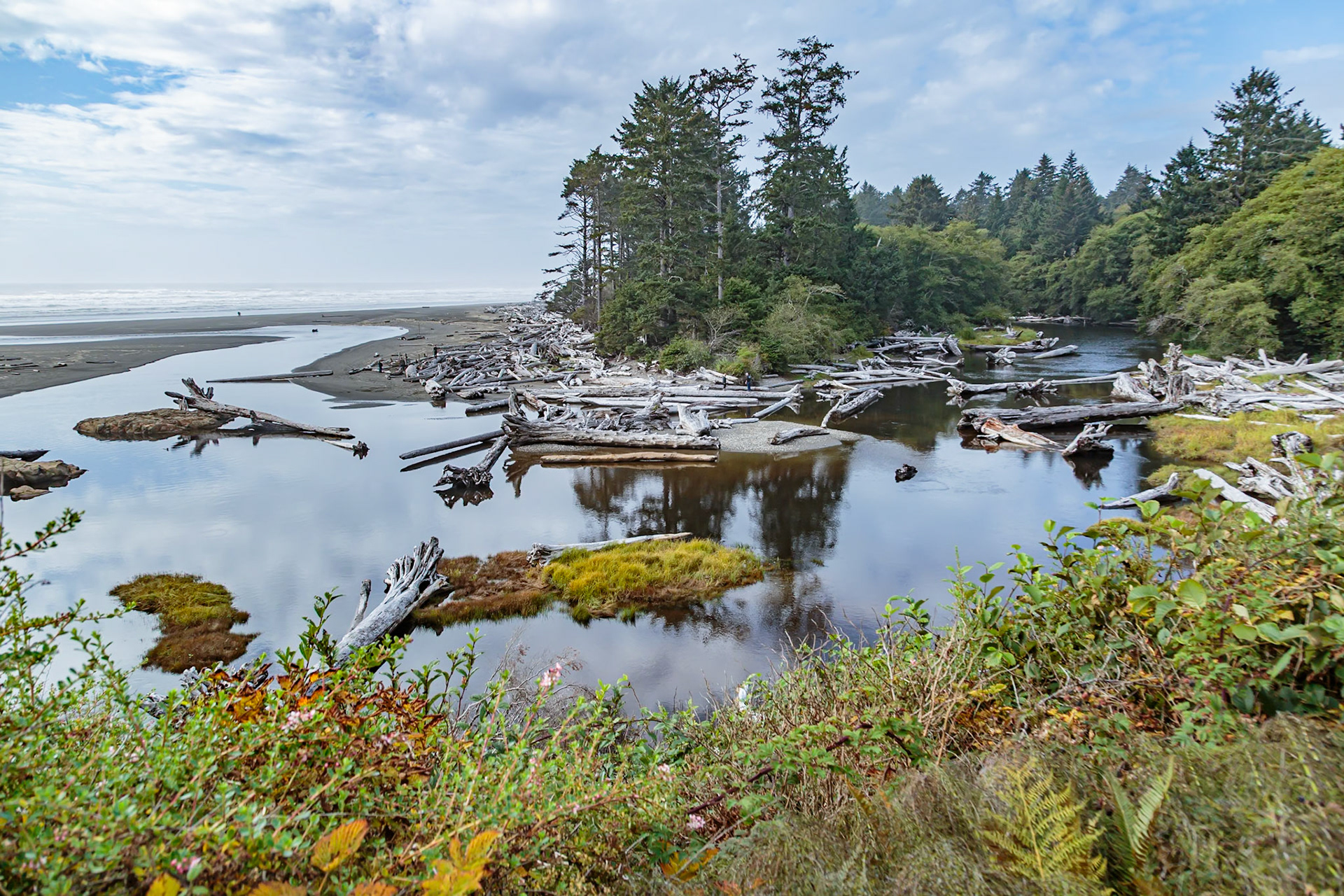180910_142 Driftwood logs line the shoreline where Kalaloch Creek empties into the Pacific Ocean at Forks, Washington