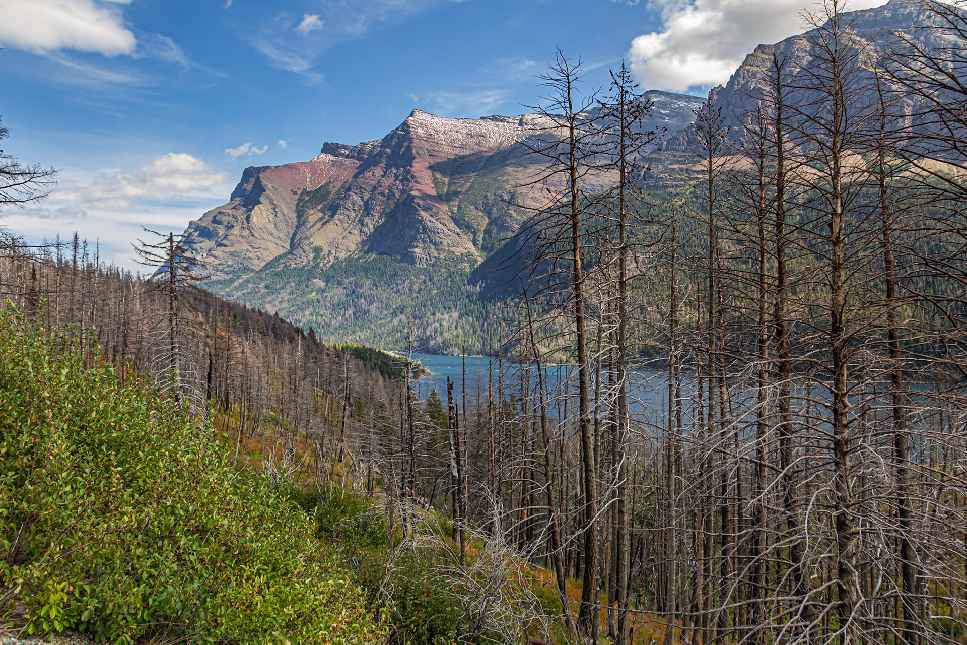 180828_193 Rugged mountains at Glacier National Park in Montana, USA