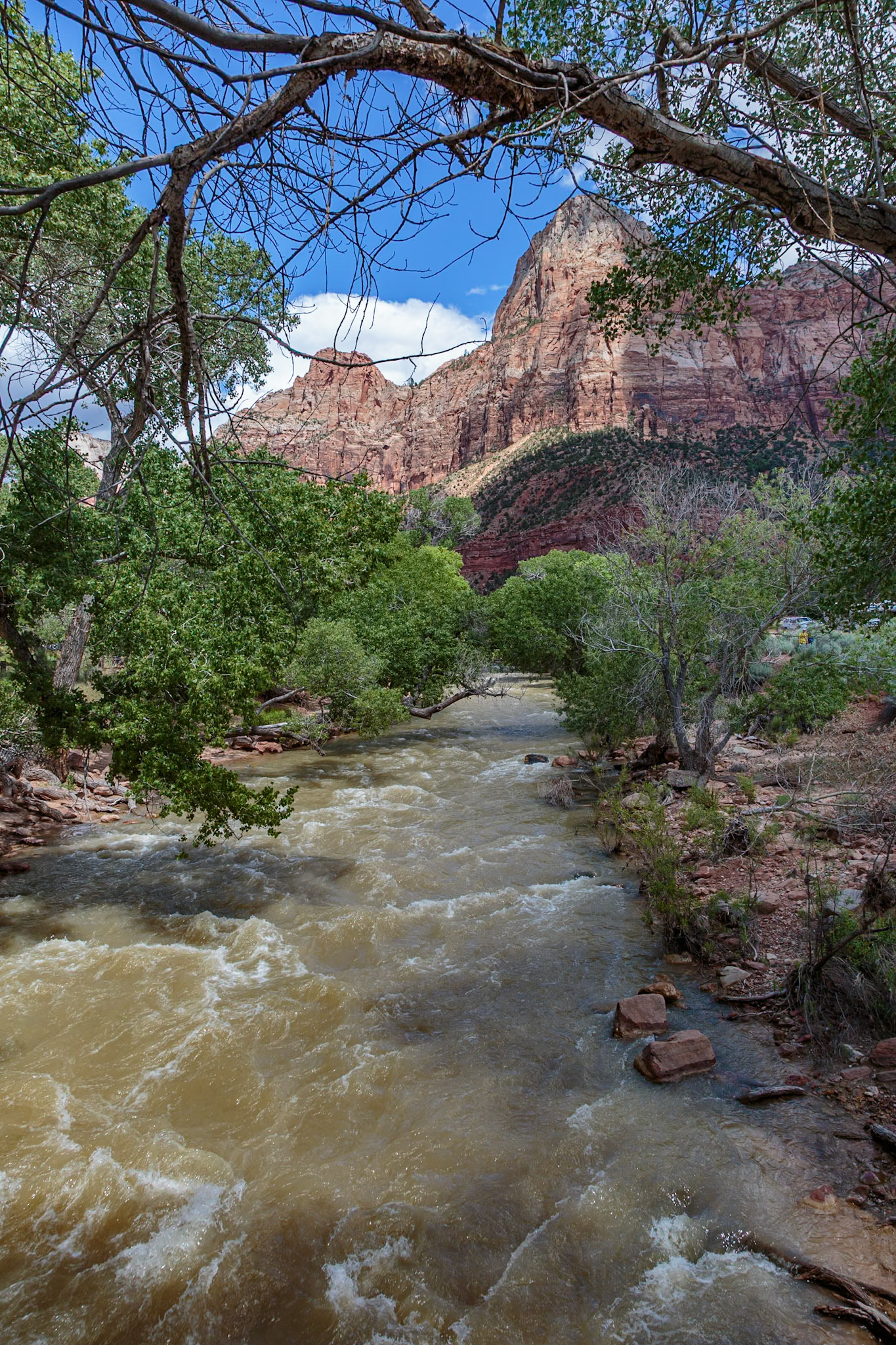 190529_187 Virgin River flows between rugged mountains in Zion National Park, Utah