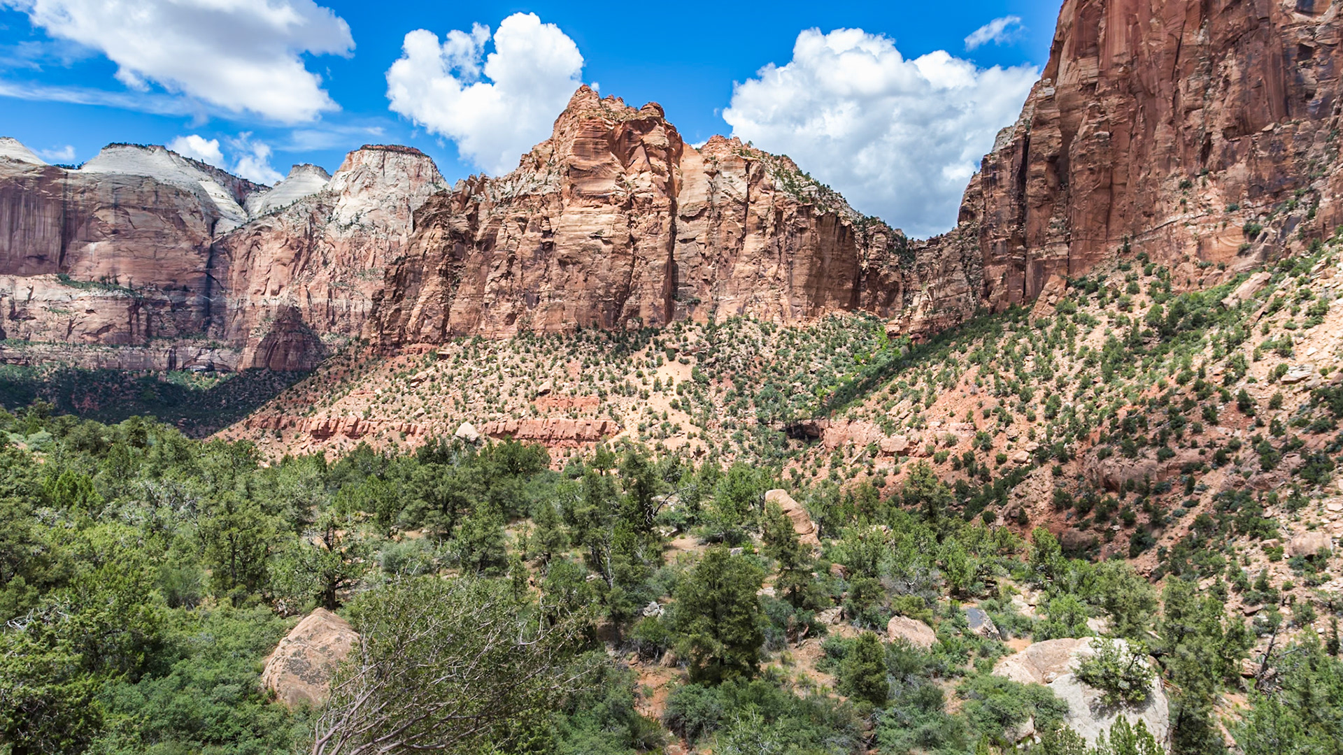 190529_157 Rugged mountains with various geology in Zion National Park, Utah