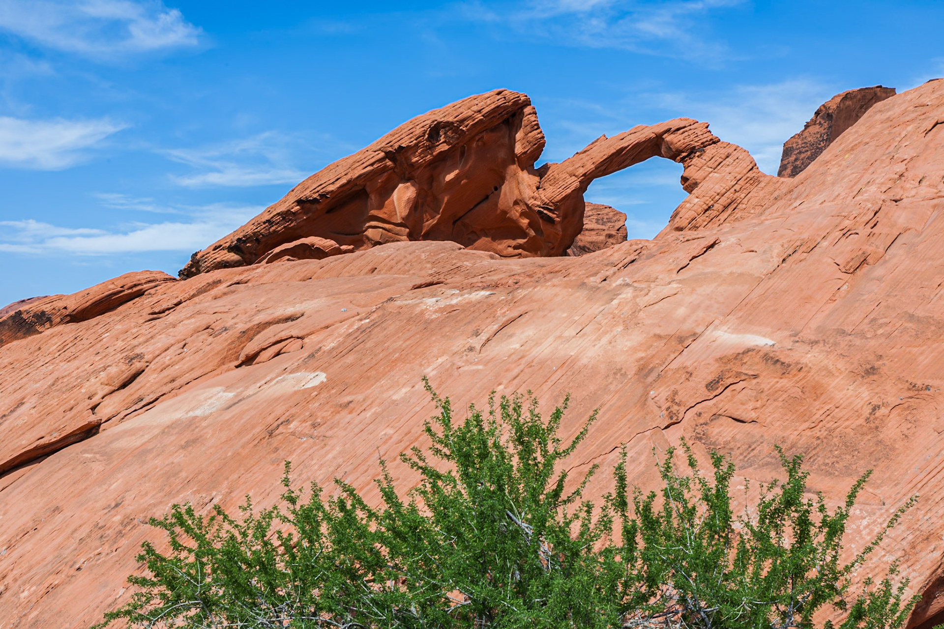 140503_201 Valley of Fire State Park near Overton, Nevada