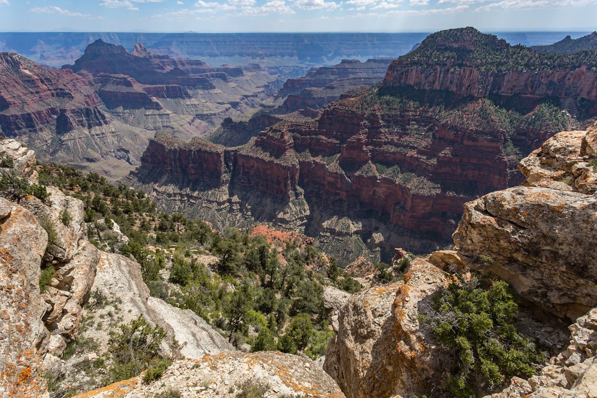 190601_088 North Rim of the Grand Canyon in Northern Arizona, USA