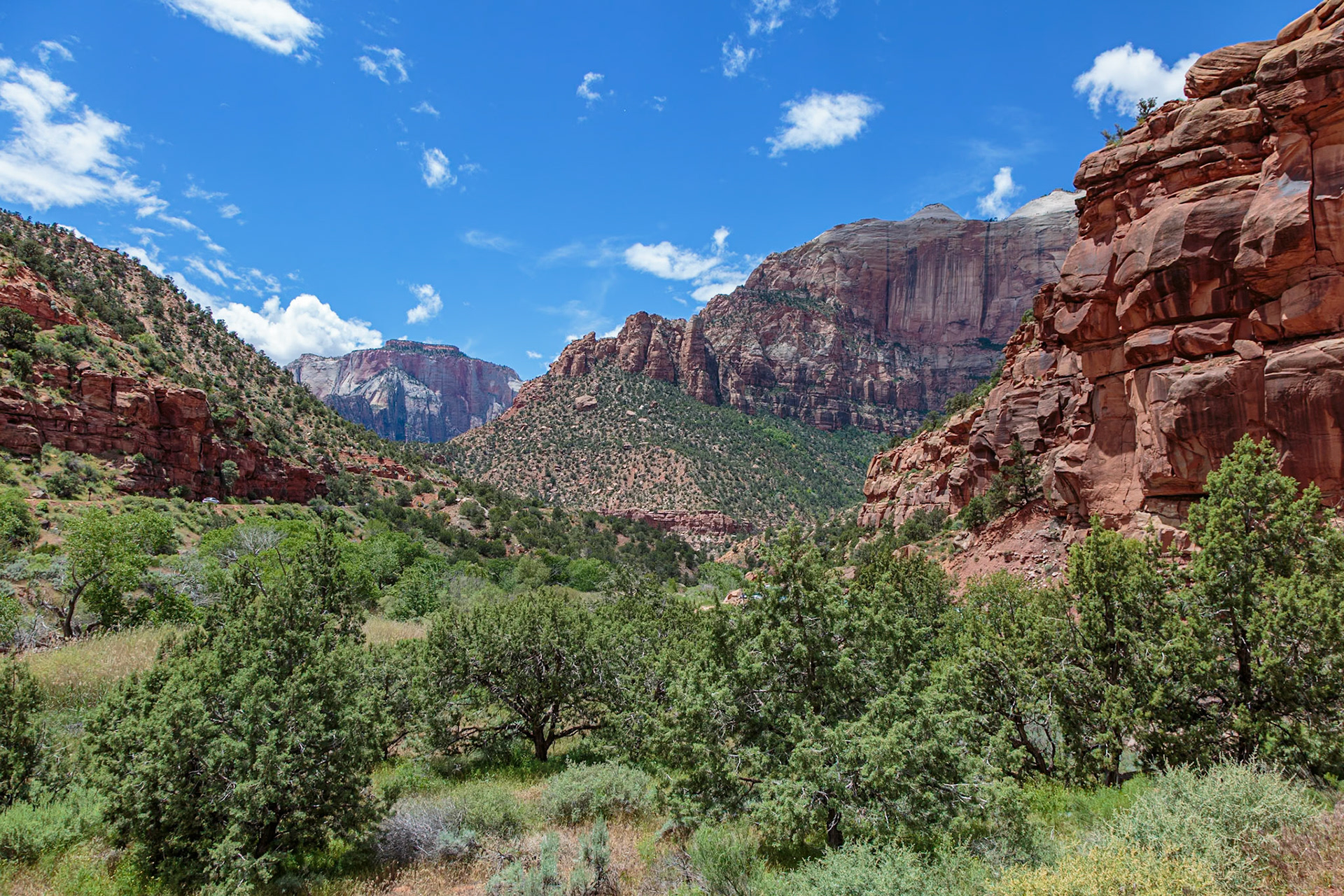 190529_184 Rugged mountains with various geology in Zion National Park, Utah
