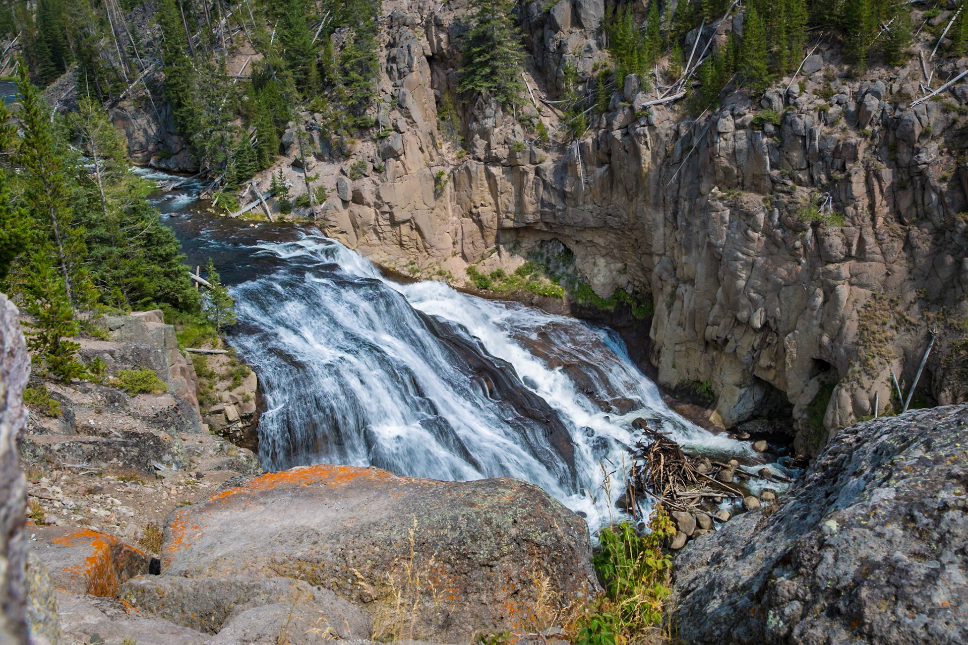 180819_137 Logs and tree debris at the bottom of Gibbon Falls on the Gibbon River in Yellowstone National Park, Wyoming