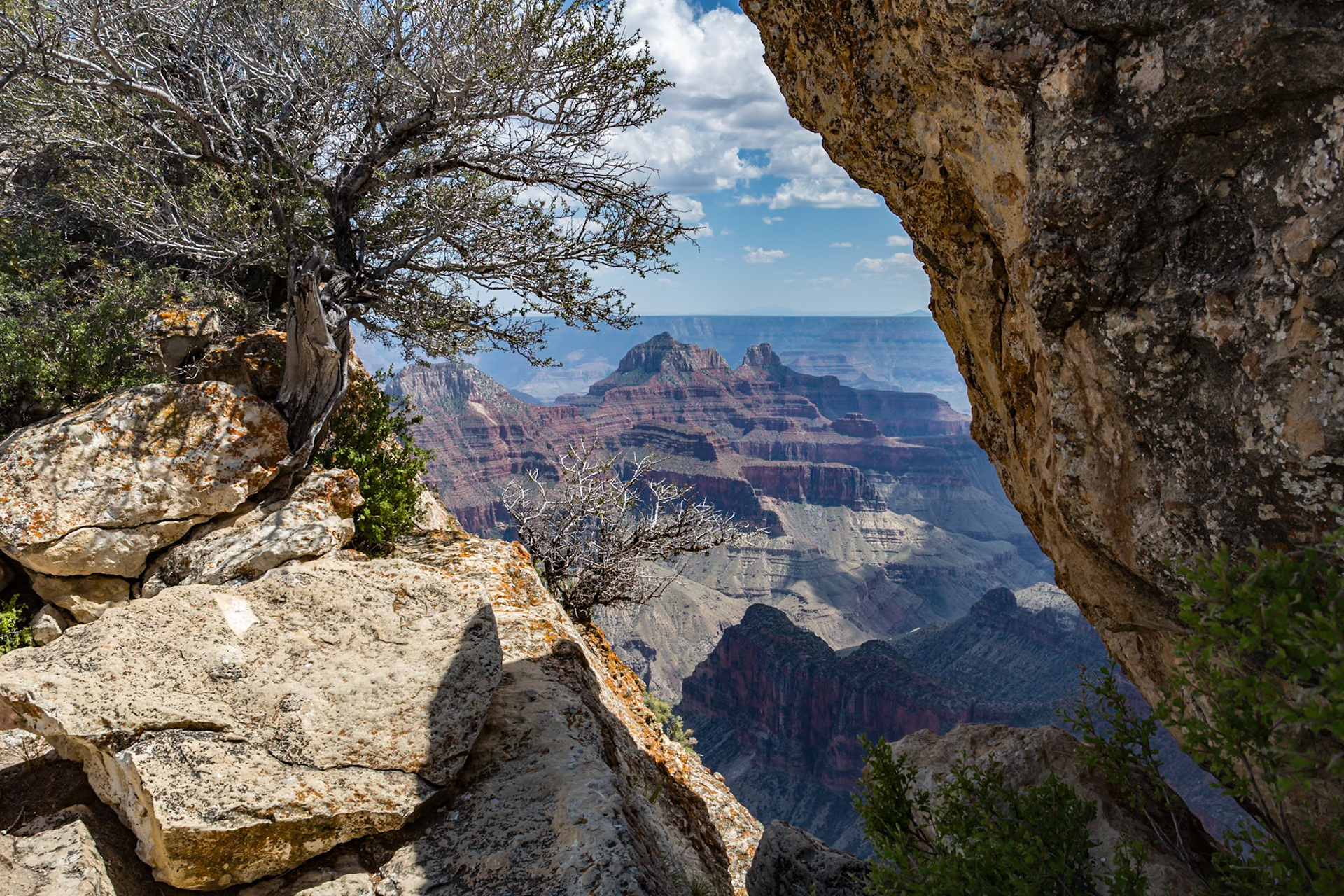 190601_029 North Rim of the Grand Canyon in Northern Arizona, USA