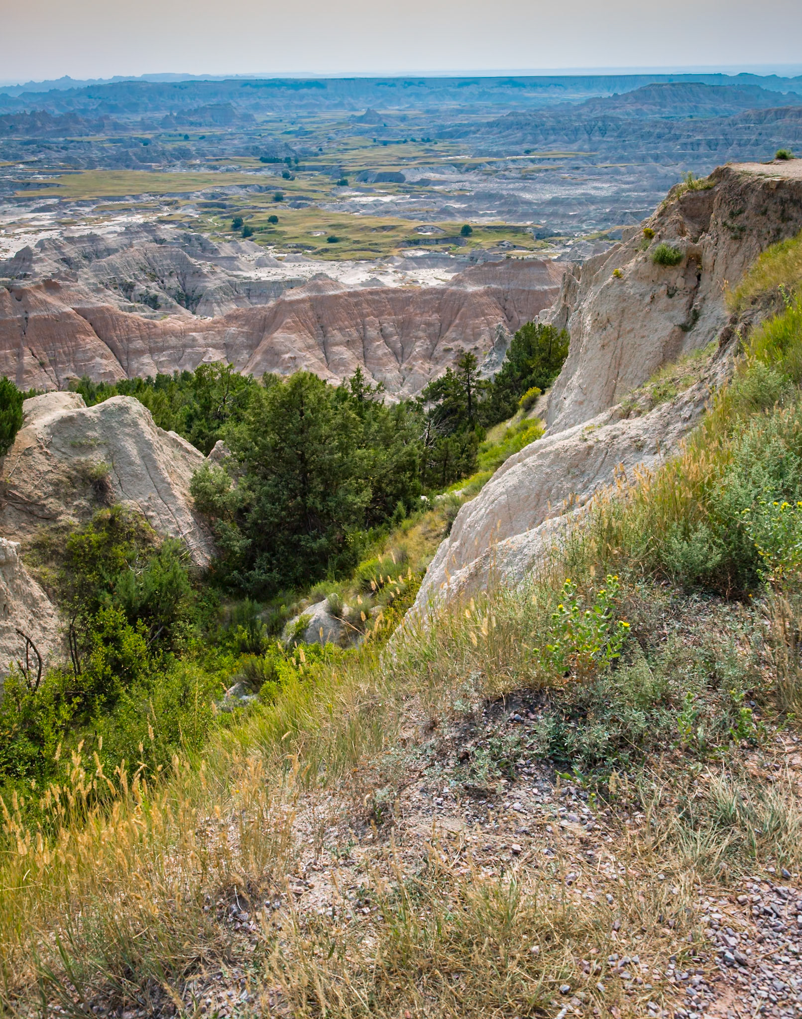180816_151 Erosion exposes colorful layers of sedimentary rock  in the Badlands National Park in South Dakota, USA
