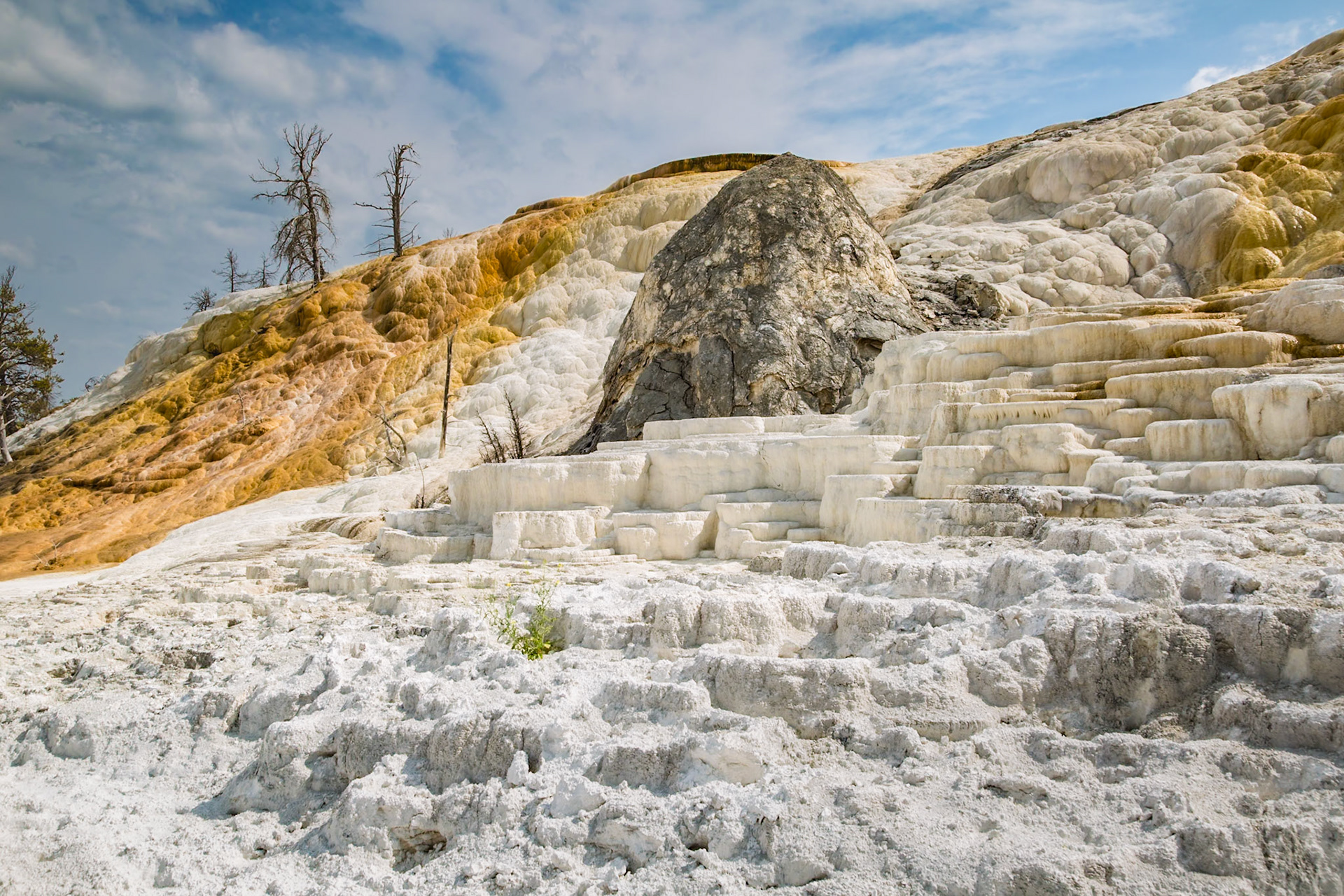 180822_124 Terraced travertine expelled from Palette Spring over time in the Mammoth Hot Springs area of Yellowstone National Park, Wyoming