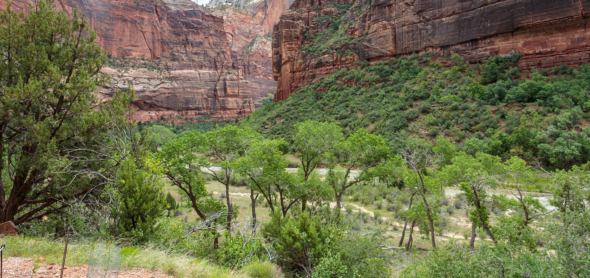 190531_453 Zion National Park in Southwest Utah, USA