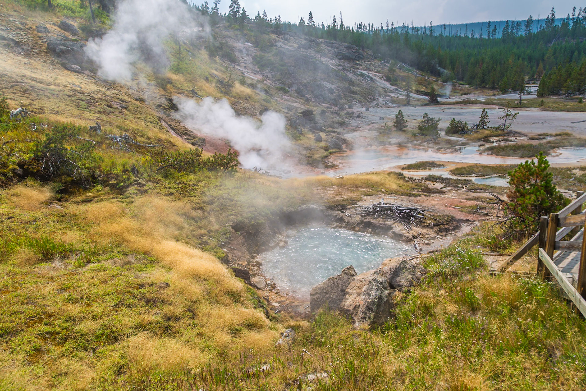 180819_158 Blood Geyser and hot springs in the Artists' Paintpots area of Yellowstone National Park in Wyoming