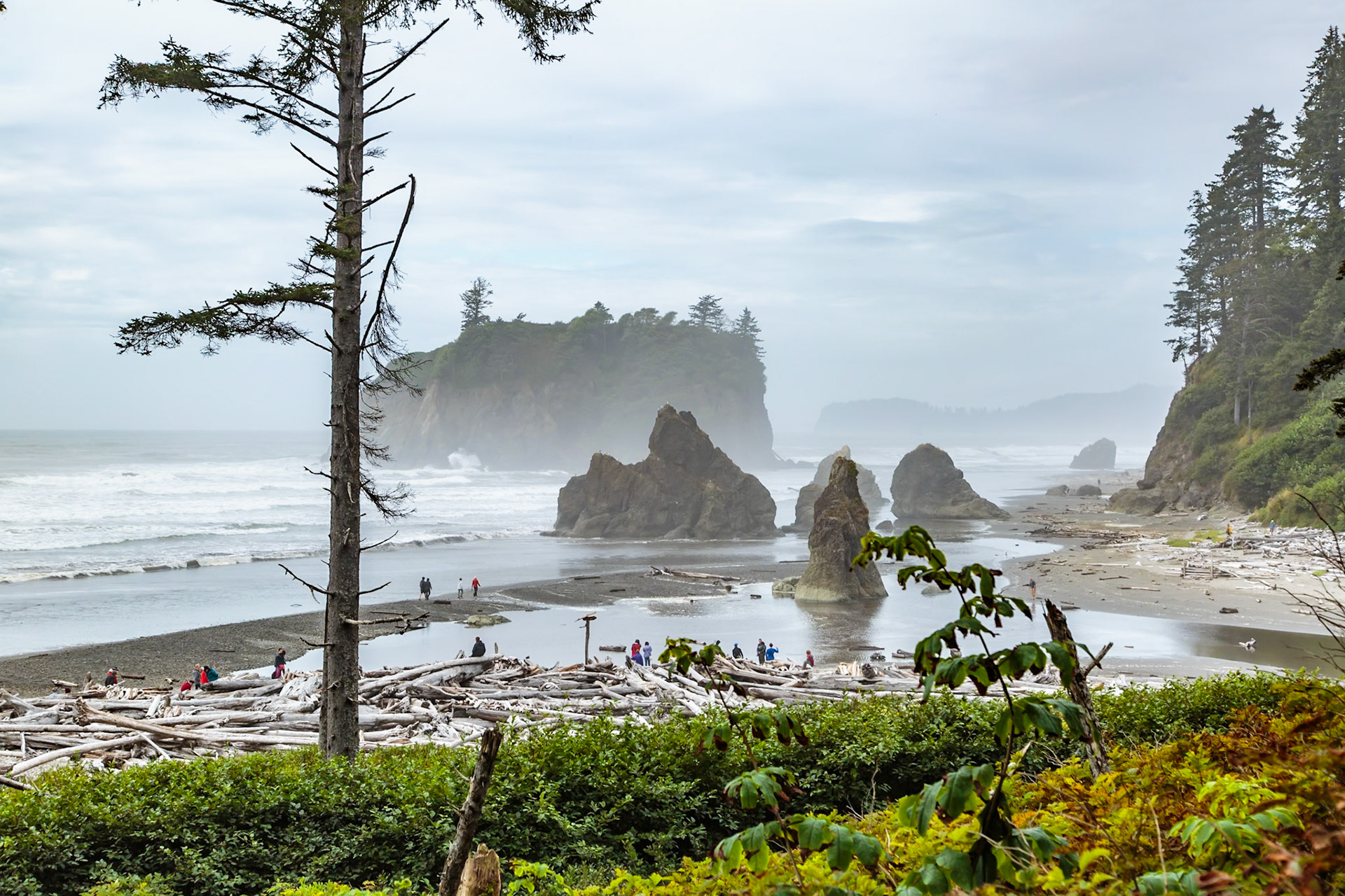 180910_072 Visitors walk amoung the driftwood, tide pools and seastacks at Ruby Beach in the Olympic National Park near Forks, Washington