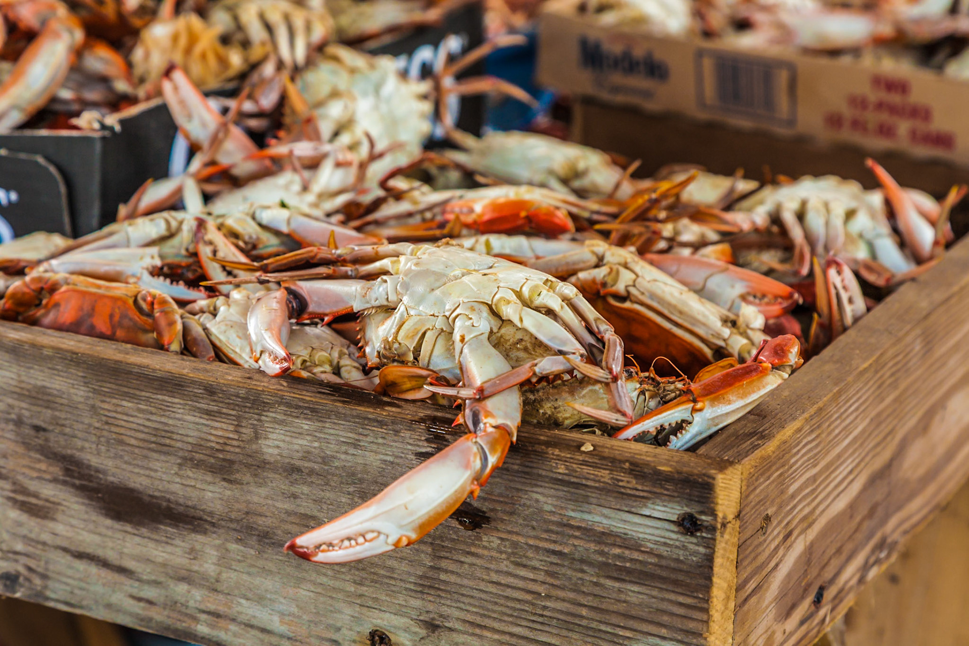 140704_001 Wooden box of boiled blue crabs at the Crab Festival in Bay St. Louis, Mississippi