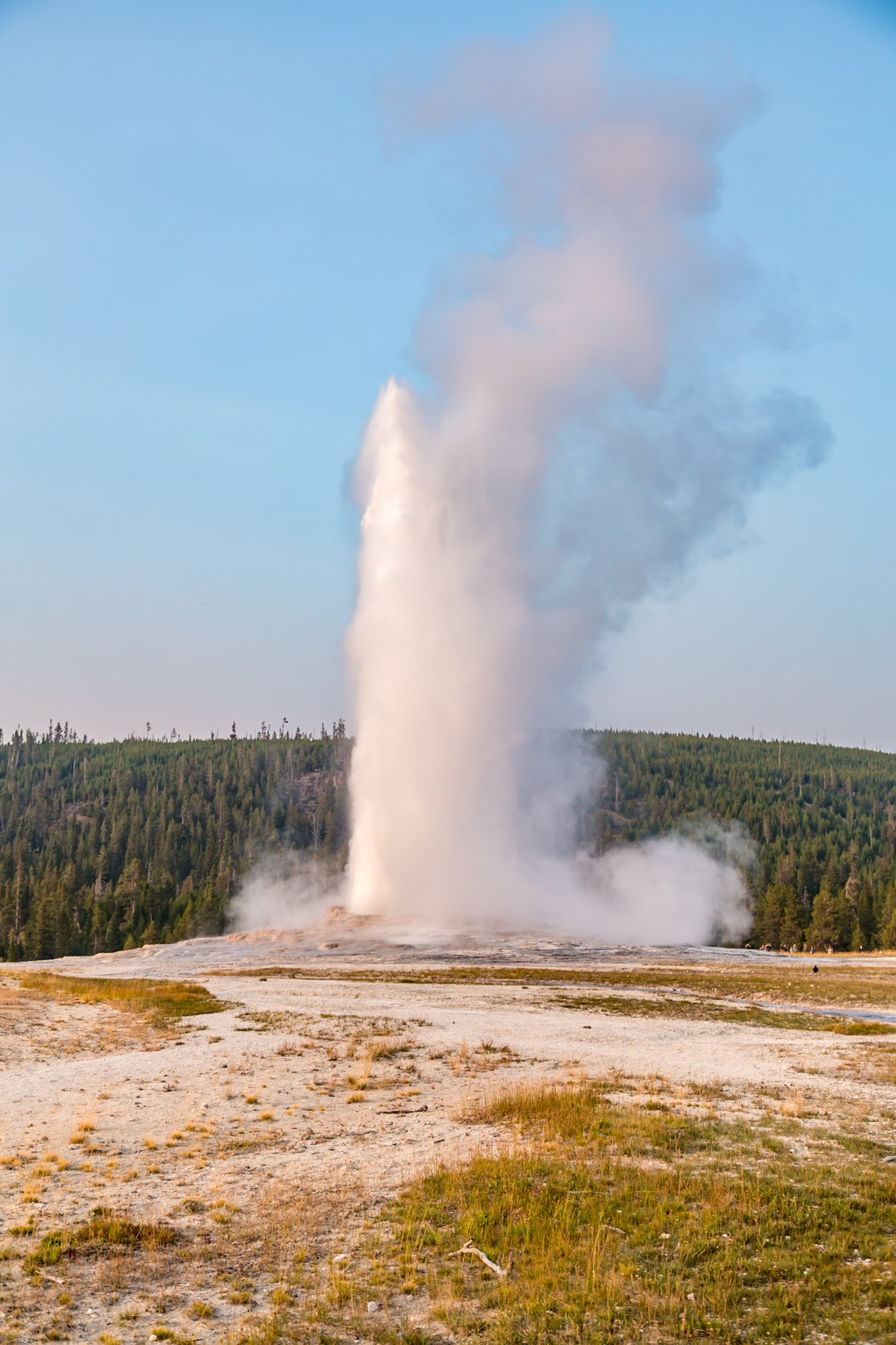 180819_326 Eruption of Old Faithful cone geyser in Yellowstone National Park