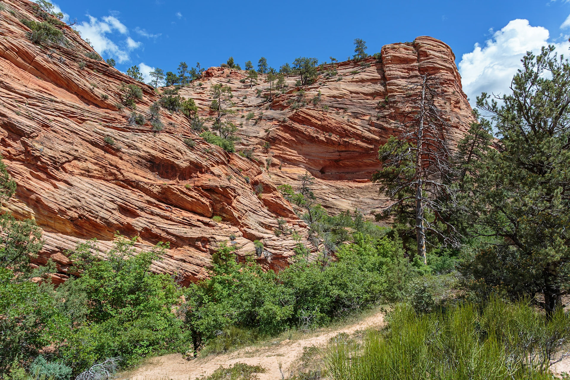 190529_235 Patterns of erosion on the rocky mountainside in Zion National Park, Utah