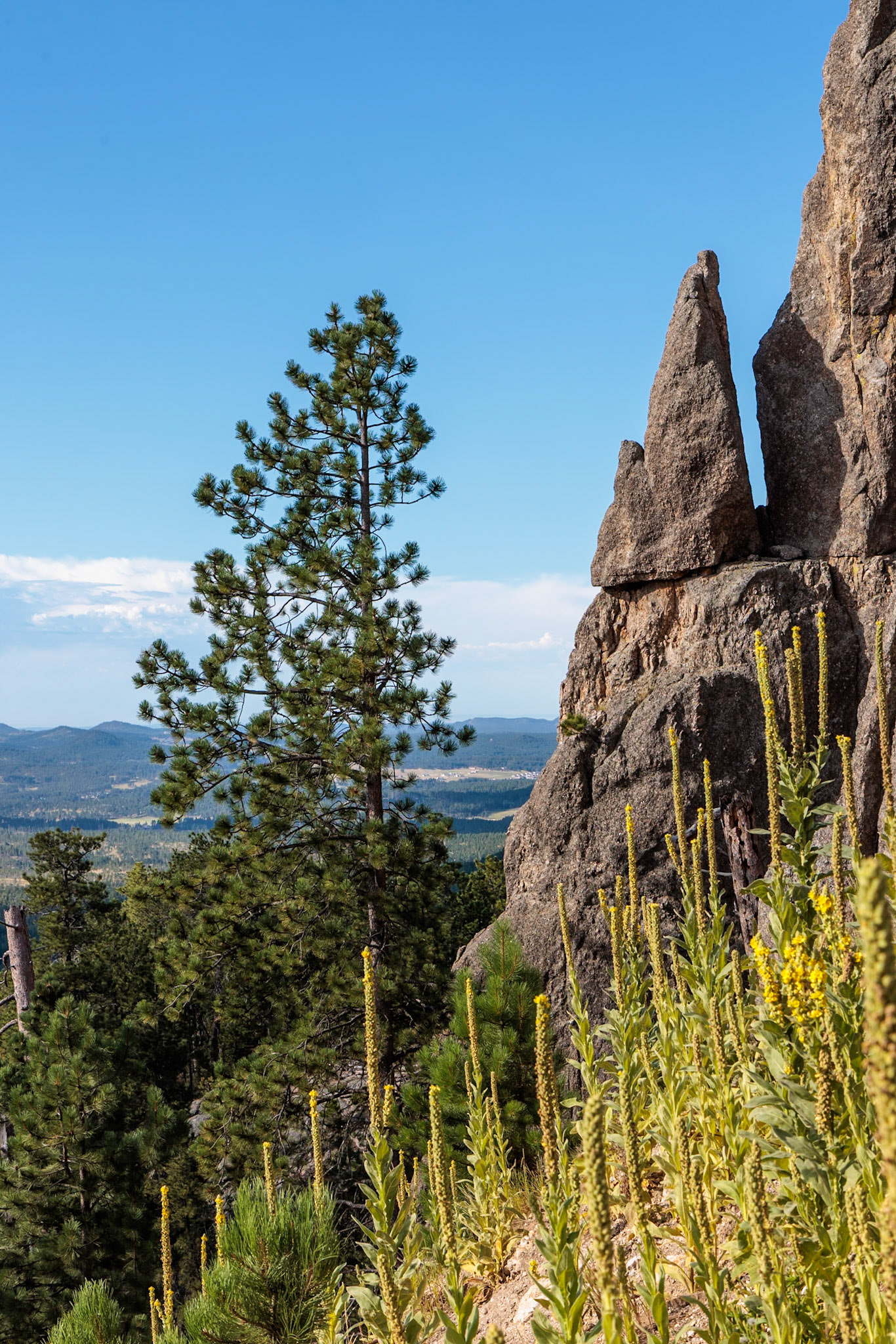 240821_084 Rock formation in the Needles area of Custer State Park, South Dakota, USA