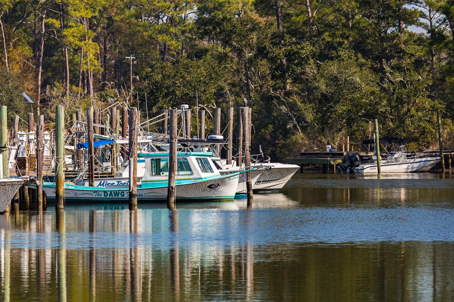 150121_037 Private and commercial boats in the Inner Harbor at Ocean Springs, Mississippi