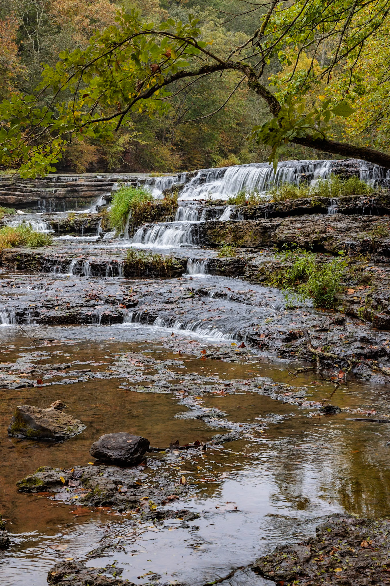 231006_028 Falling Water Cascades in Burgess Falls State Park near Cookeville, Tennessee