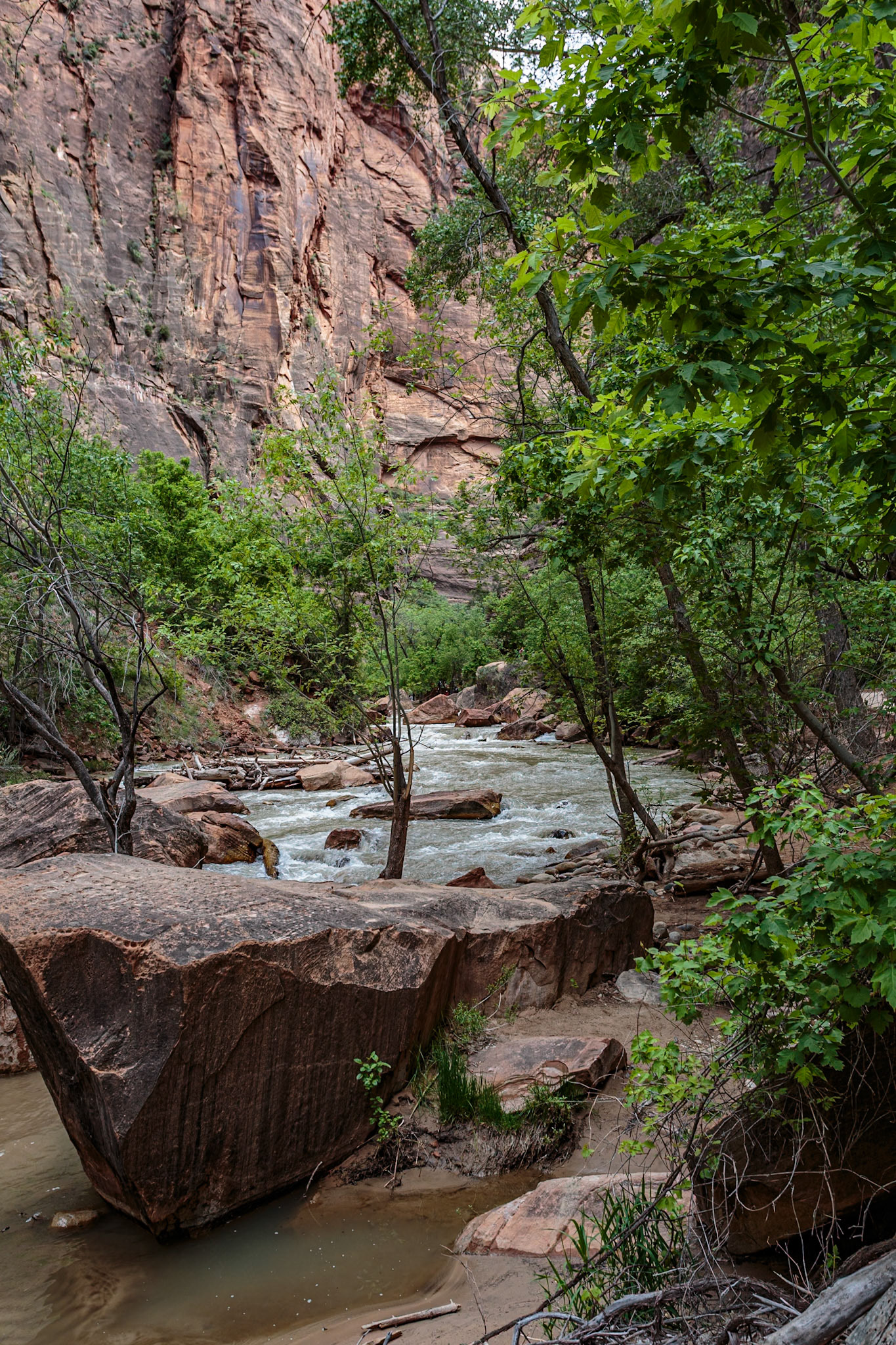 190531_408 Virgin River runs between sandstone rock formations along the Riverside Walk in the Temple of Sinawava area of Zion National Park, Utah