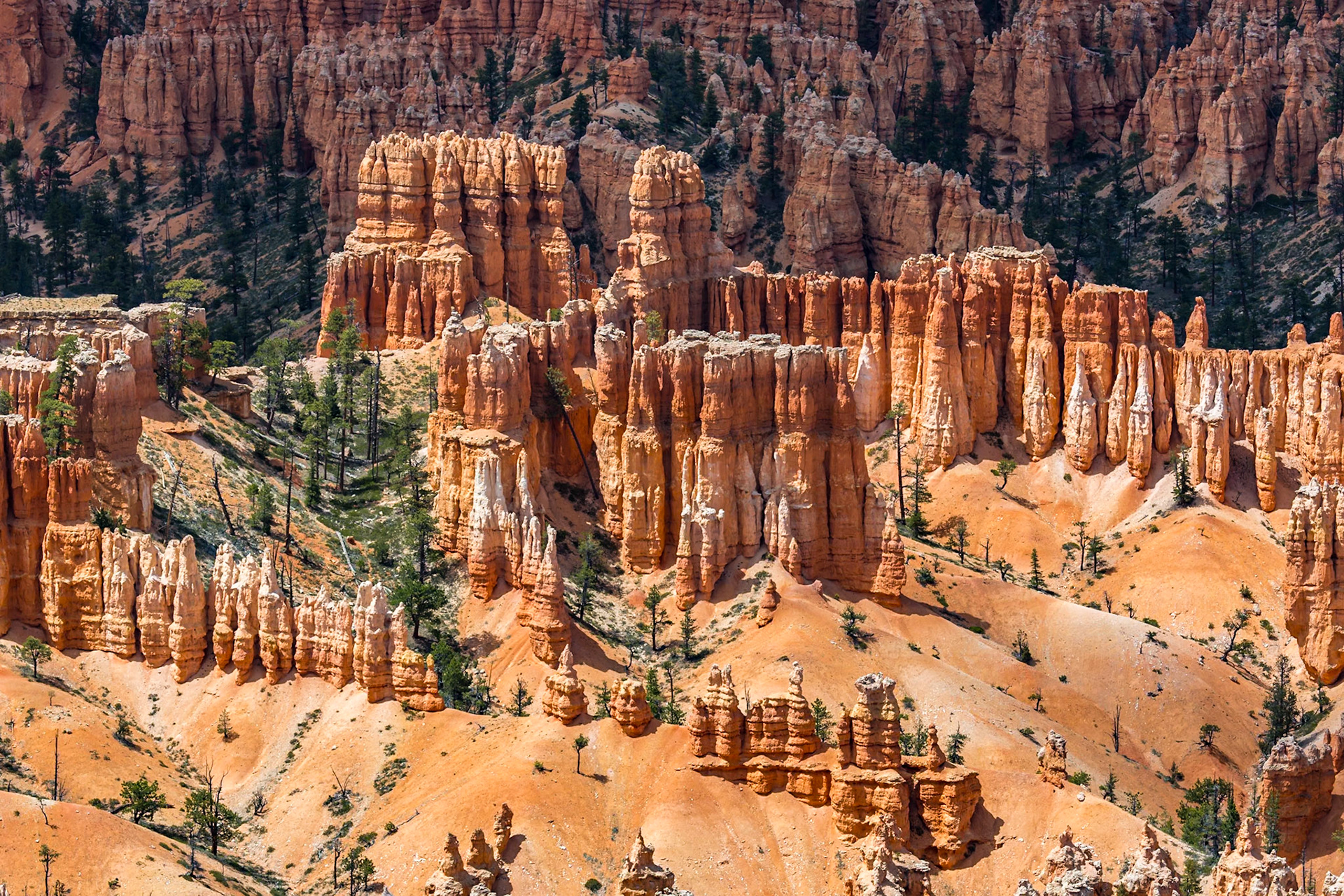 190603_349 Brice Point Overlook in Bryce Canyon National Park, Utah