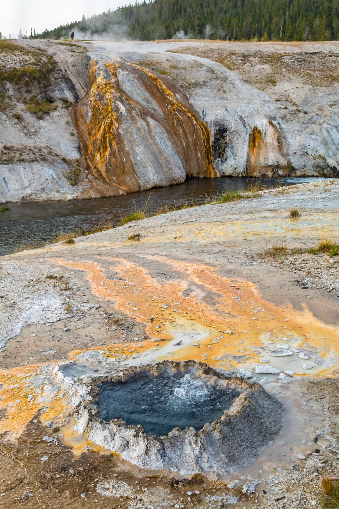 180818_043 Runoff from geysers and hot springs flows into the Firehole River in the Upper Geyser Basin at Yellowstone National Park