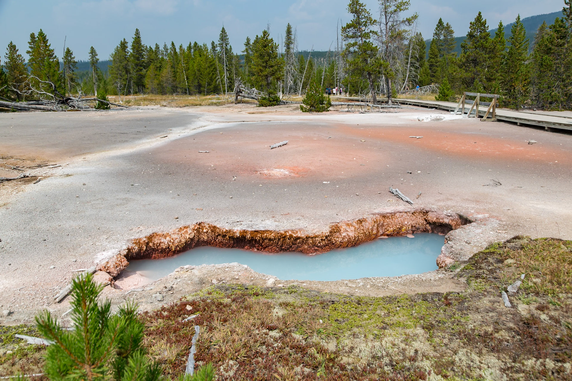 180819_194 Hot spring GAPNN006 in the Artists' Paintpots area of Yellowstone National Park in Wyoming