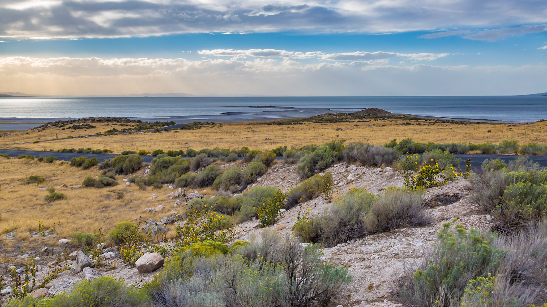 180915_140 Prairie grasslands and the Great Salt Lake in the Antelope Island State Park near Syracuse, Utah