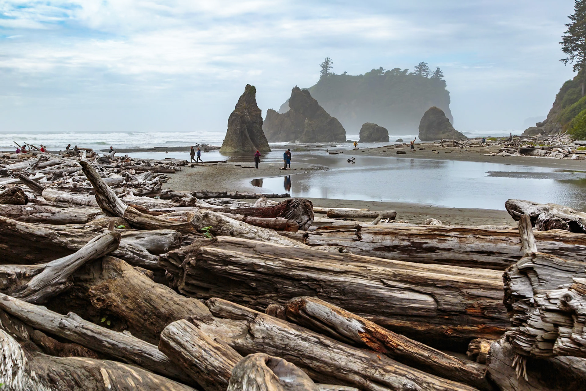 180910_074 Visitors walk amoung the driftwood, tide pools and seastacks at Ruby Beach in the Olympic National Park near Forks, Washington