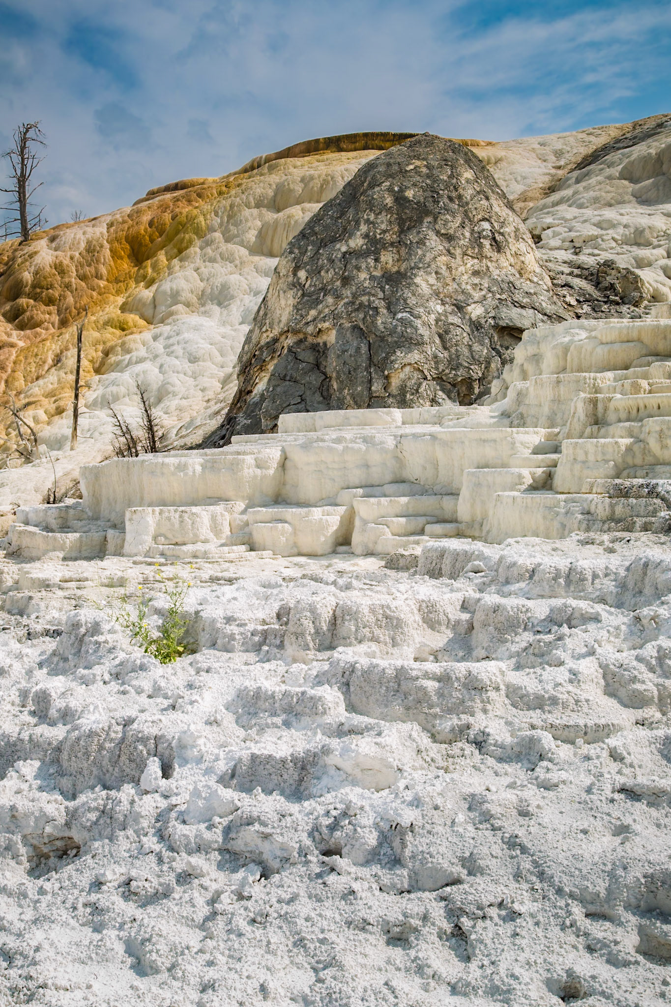 180822_123 Terraced travertine expelled from Palette Spring over time in the Mammoth Hot Springs area of Yellowstone National Park, Wyoming