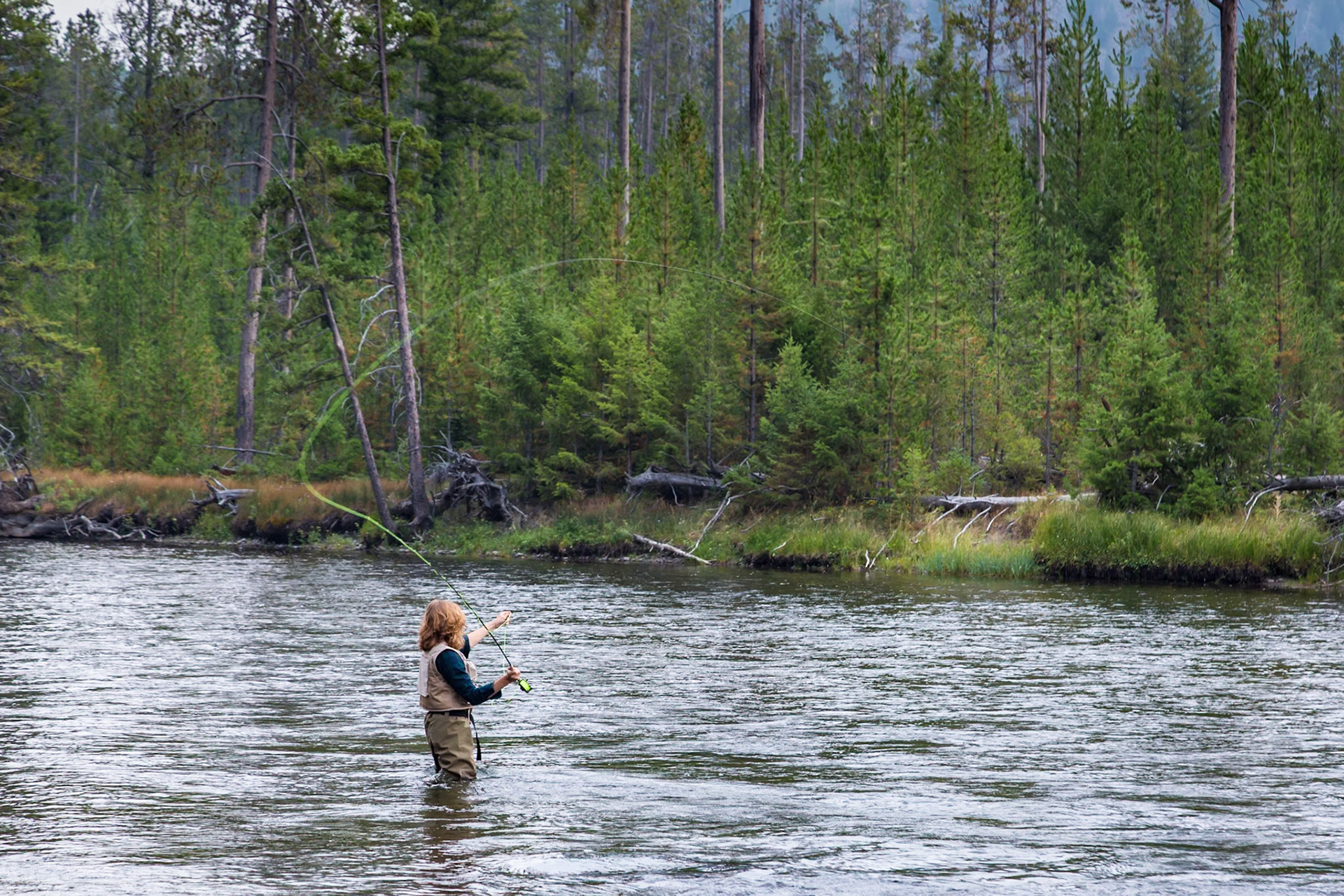 180819_111 Woman fly fishing in the Madison River near the west gate of Yellowstone National Park in Wyoming