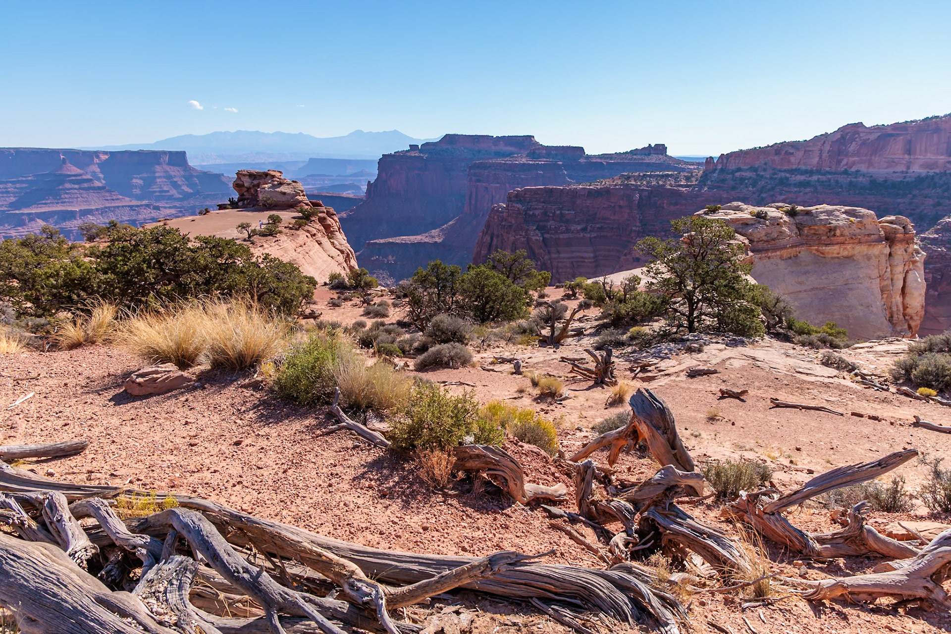 240928_010 Rugged rock formations along the Shafer Canyon Overlook at the Island in the Sky area of Canyonlands National Park, Utah, USA