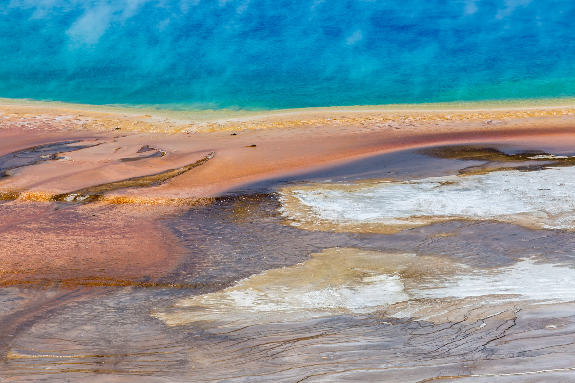 180823_018 Close up view of the outer perimeter of the Grand Prismatic Spring in the Midway Geyser Basin of Yellowstone National Park, Wyoming