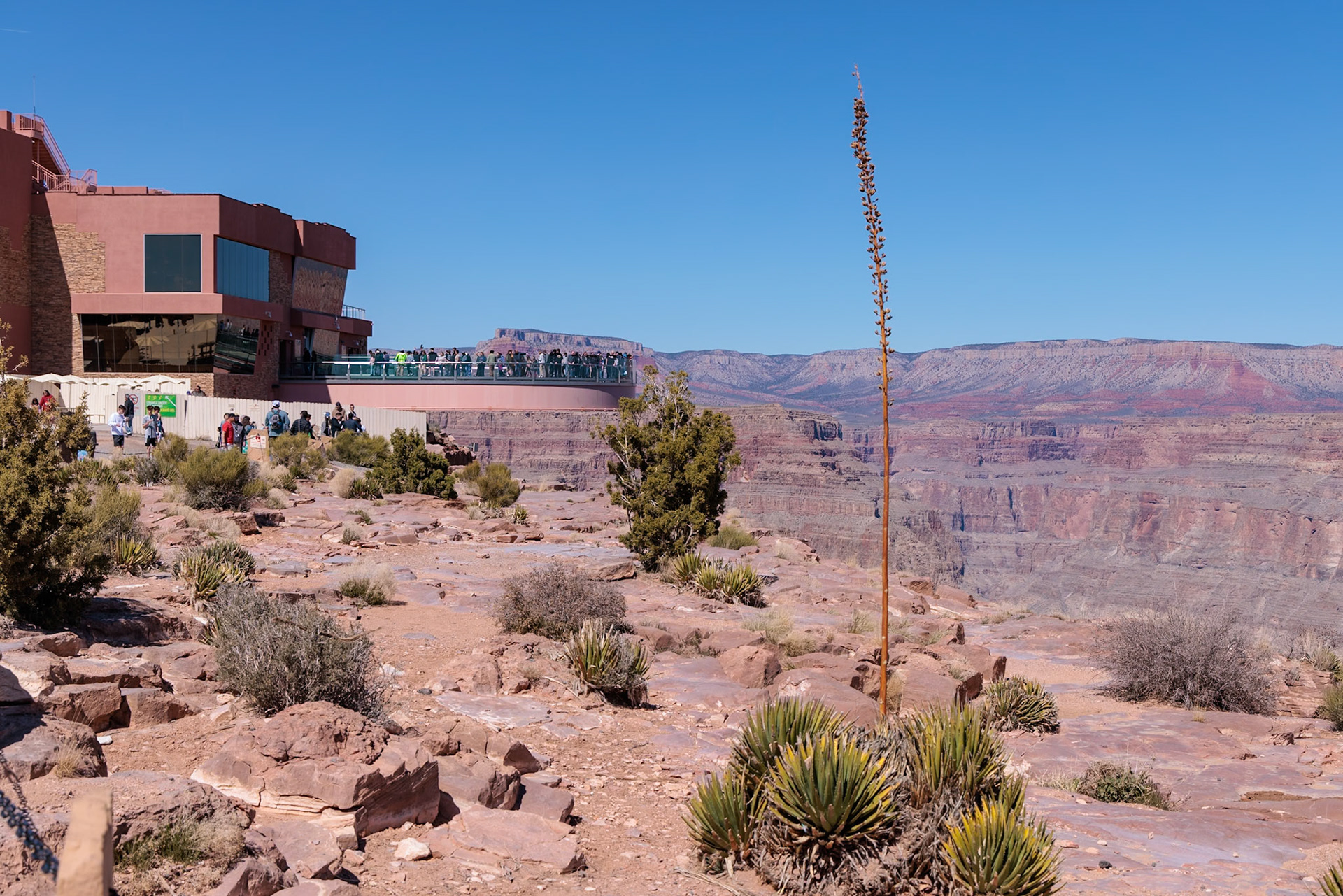230405_113 Visitors view the Grand Canyon from the Skybridge, a glass floored bridge extending 70 feet over the canyon at Eagle Point in Grand Canyon West near Peach Springs, Arizona