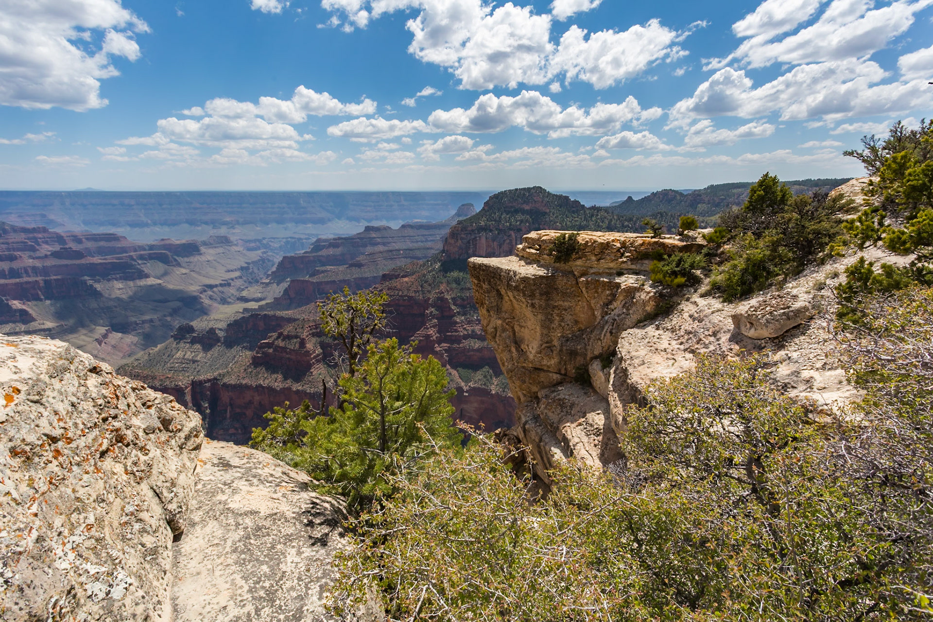 190601_078 North Rim of the Grand Canyon in Northern Arizona, USA