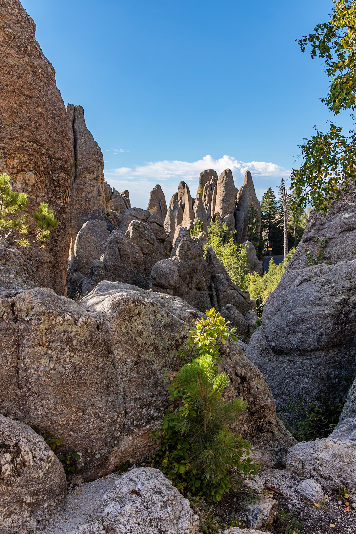 240821_126 Rock formations in the Needles area of Custer State Park, South Dakota, USA