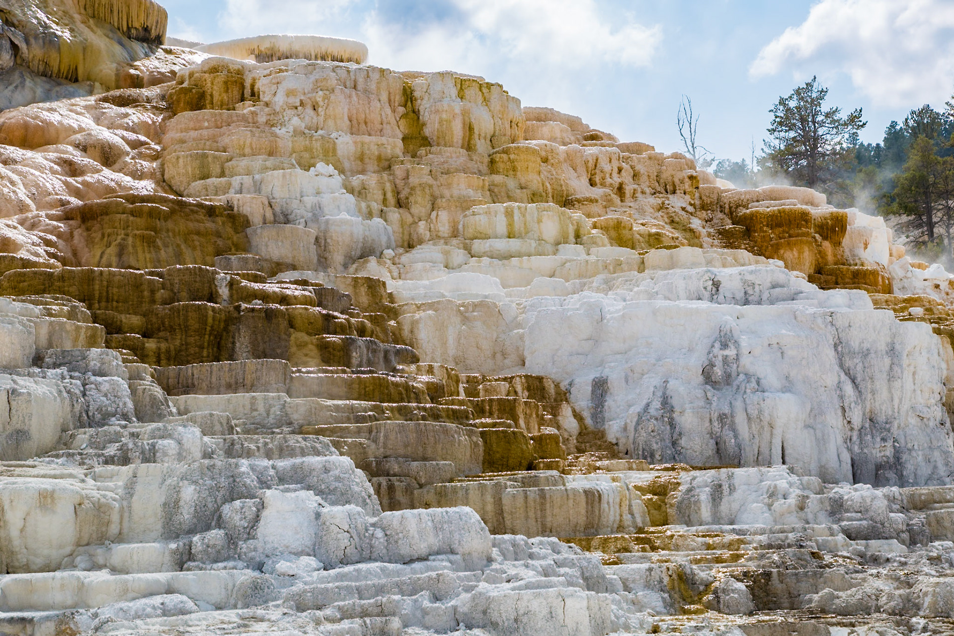 180822_113 Terraced travertine expelled from Palette Spring over time in the Mammoth Hot Springs area of Yellowstone National Park, Wyoming