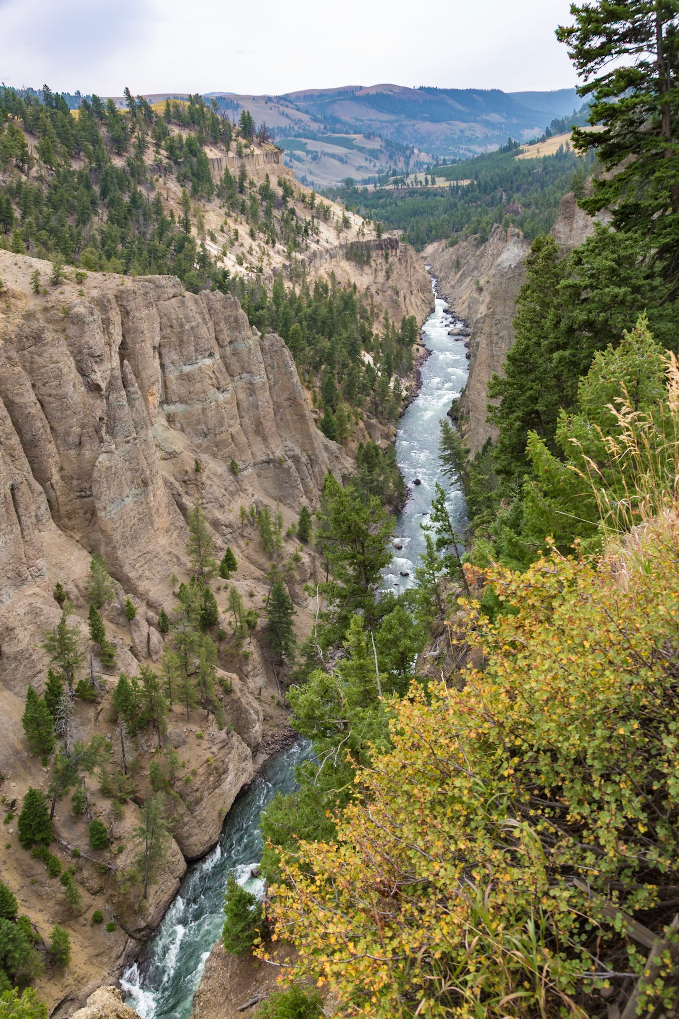 180822_055 View of uniform volcanic pillars of basalt along the Yellowstone River from Calcite Springs Overlook in Yellowstone National Park, Wyoming