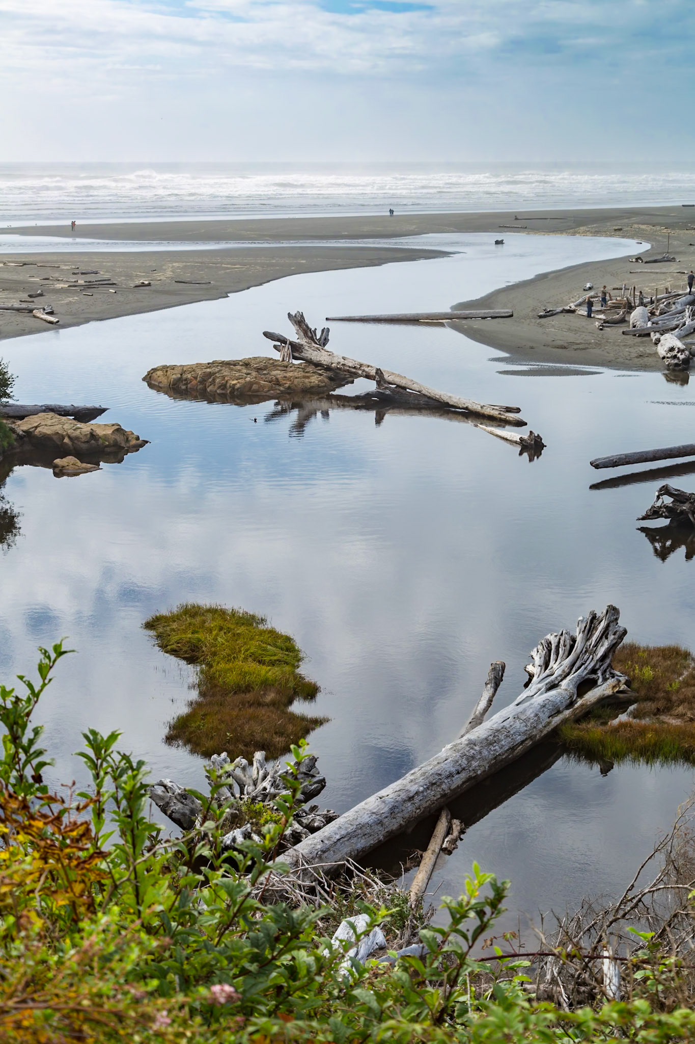 180910_143 Driftwood logs line the shoreline where Kalaloch Creek empties into the Pacific Ocean at Forks, Washington