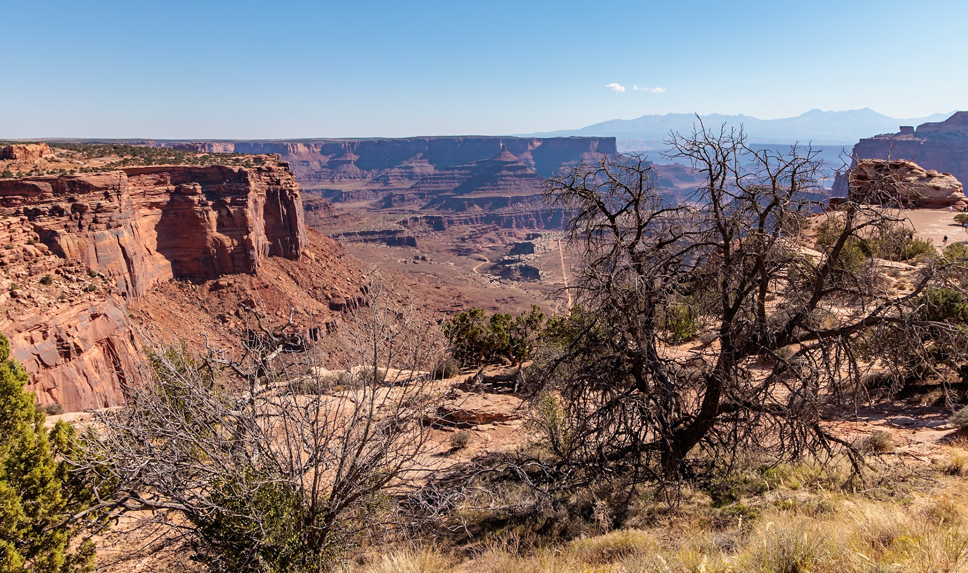 240928_014 Rugged rock formations along the Shafer Canyon Overlook at the Island in the Sky area of Canyonlands National Park, Utah, USA