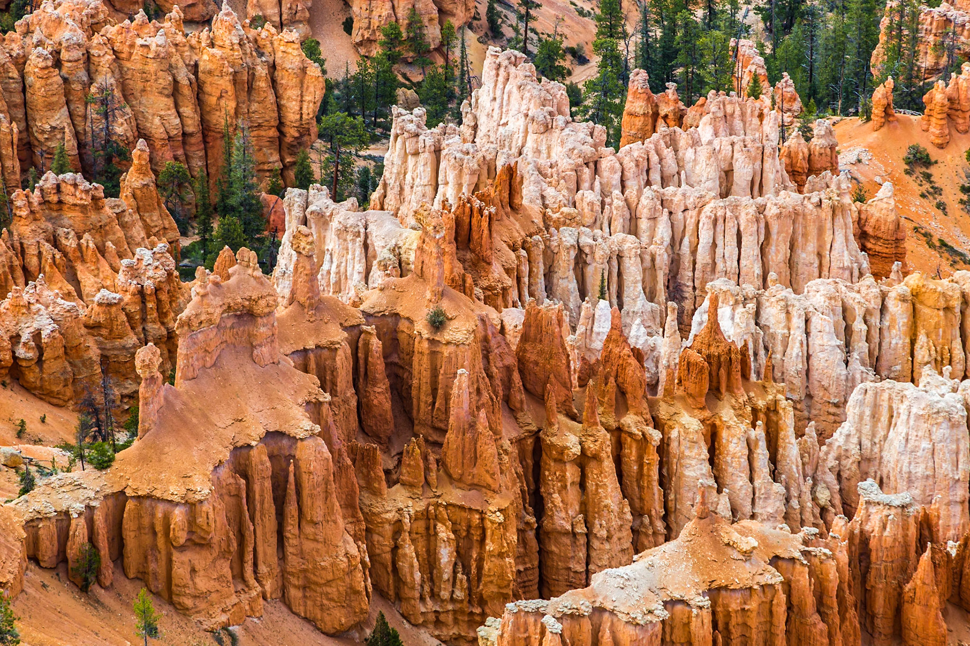 190603_502 Inspiration Point lookout in Bryce Canyon National Park in Utah