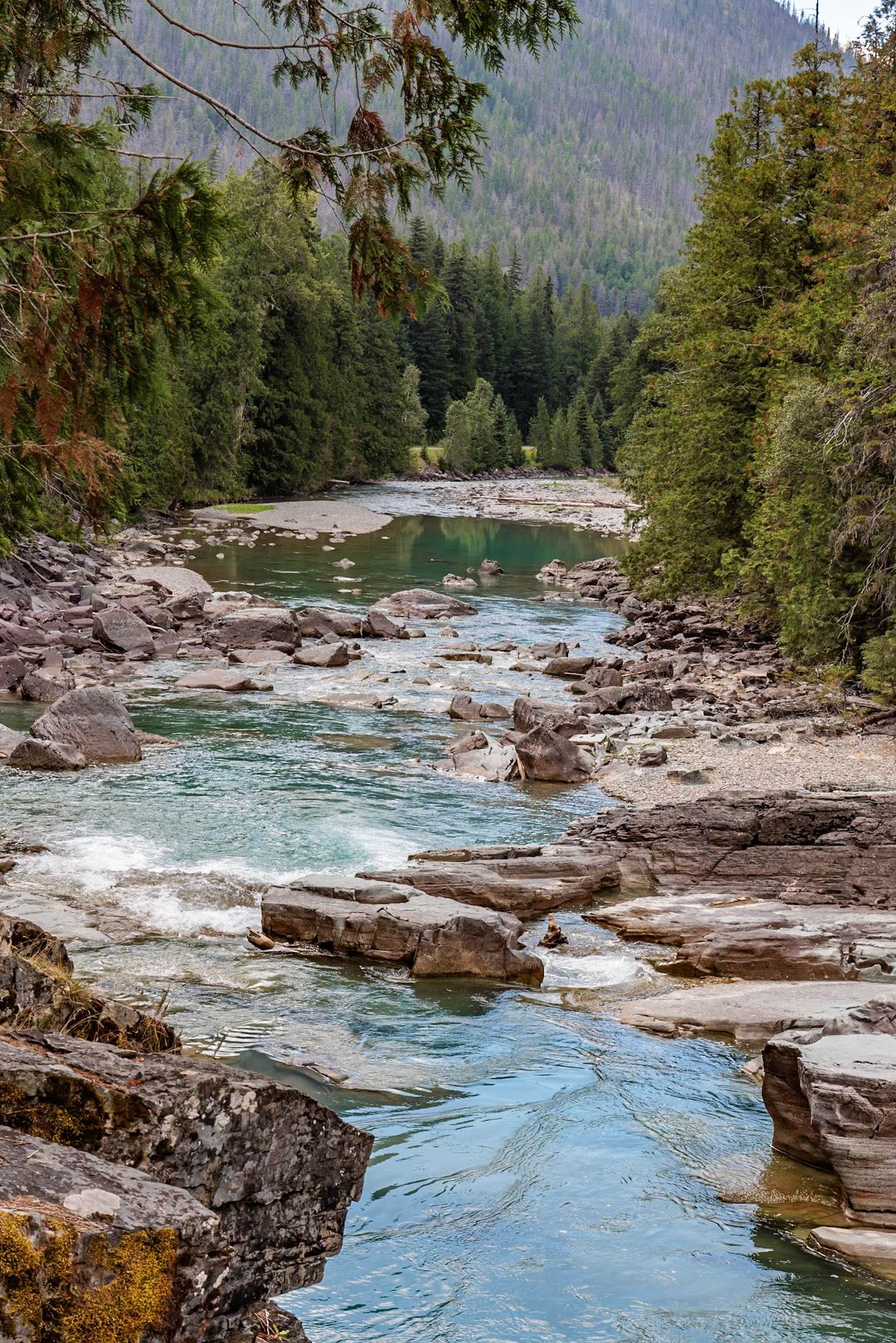 240827_189 Glacier National Park in Montana, USA