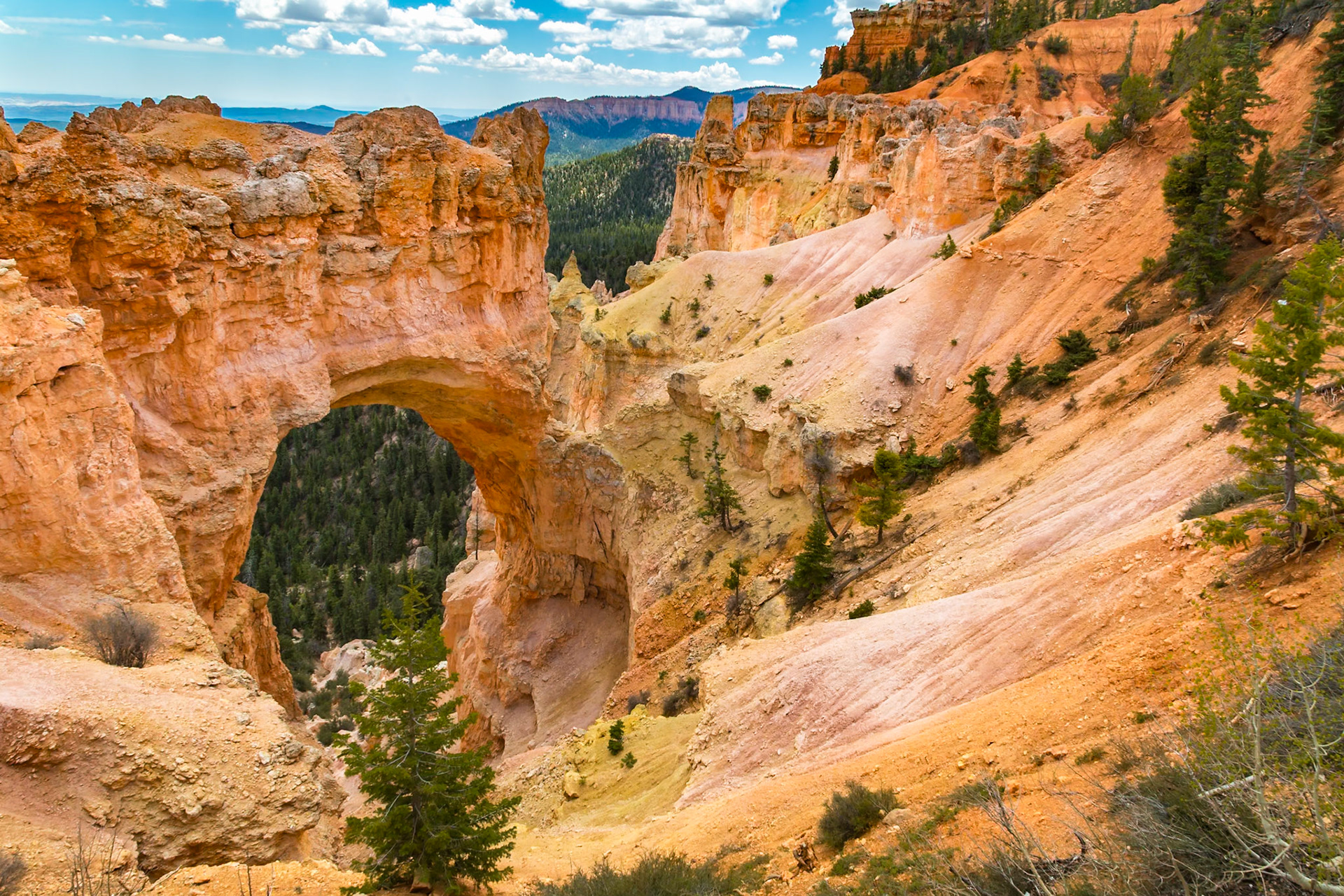 190603_055 Natural Bridge in Bryce Canyon National Park, Utah