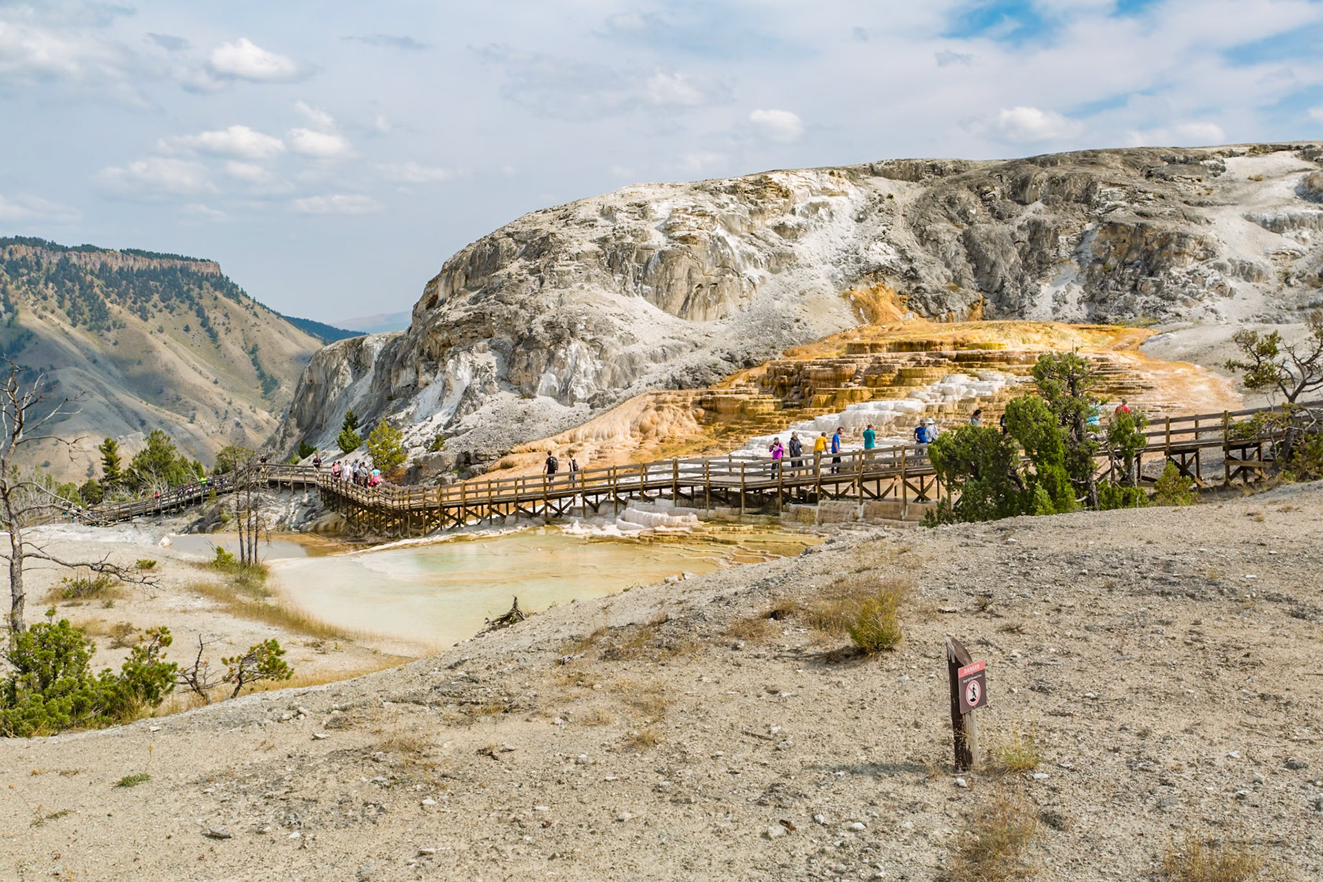 180822_165 Boardwalk allows park visitors to get close to the geologic features of Mound Spring the Mammoth Hot Springs area of Yellowstone National Park, Wyoming