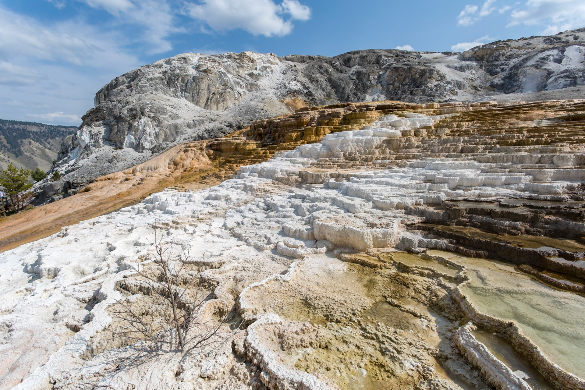 180822_221 Terraced pools of hot spring water at Mound Spring in the Mammoth Hot Springs area of Yellowstone National Park, Wyoming