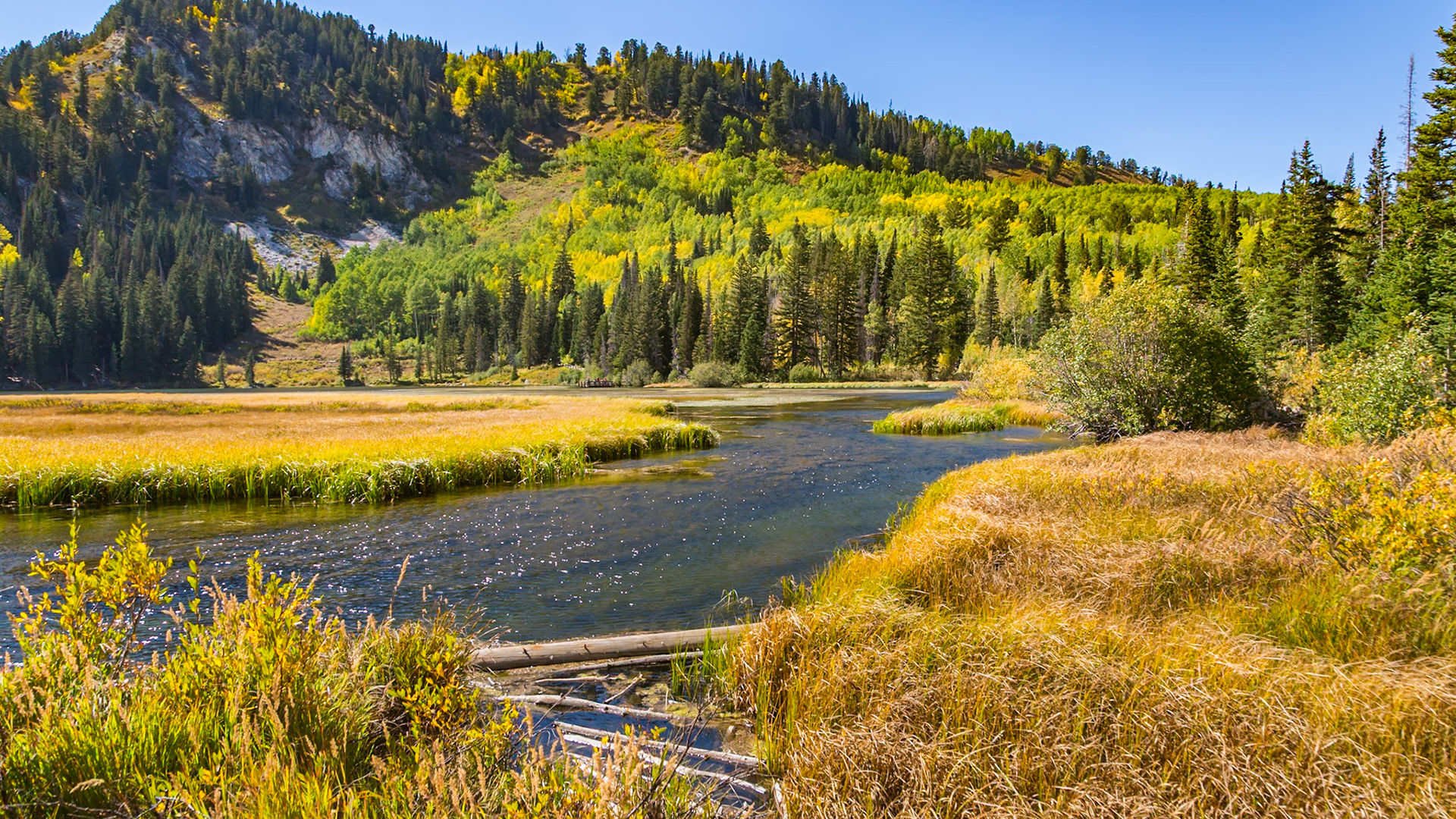 180915_093 Streams from the Wasatch Mountains flowing into Silver Lake in Big Cottonwood Canyon near Salt Lake City, Utah