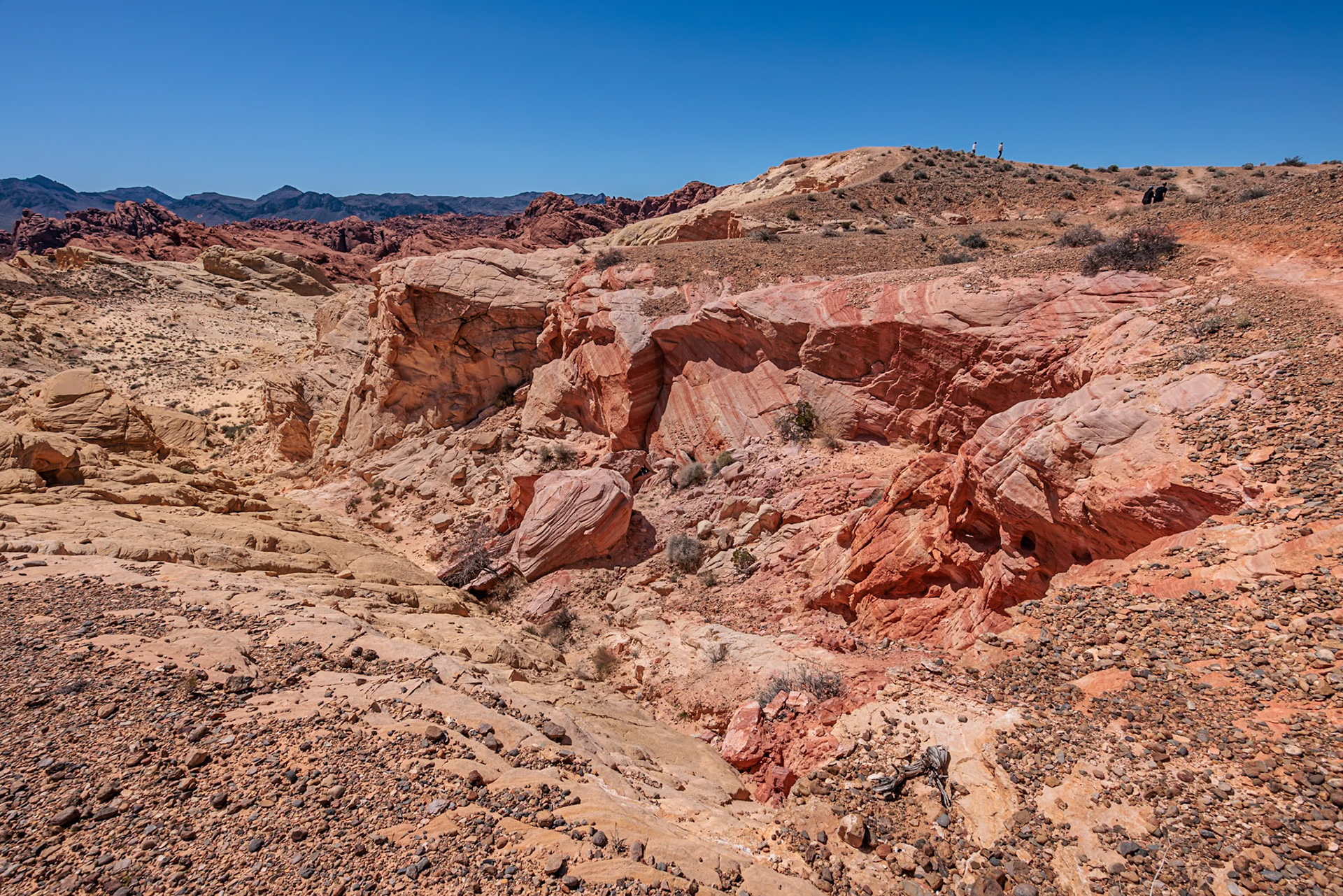 230330_252 Rock formations in the Fire Canyon area at Valley of Fire State Park near Overton, Nevada